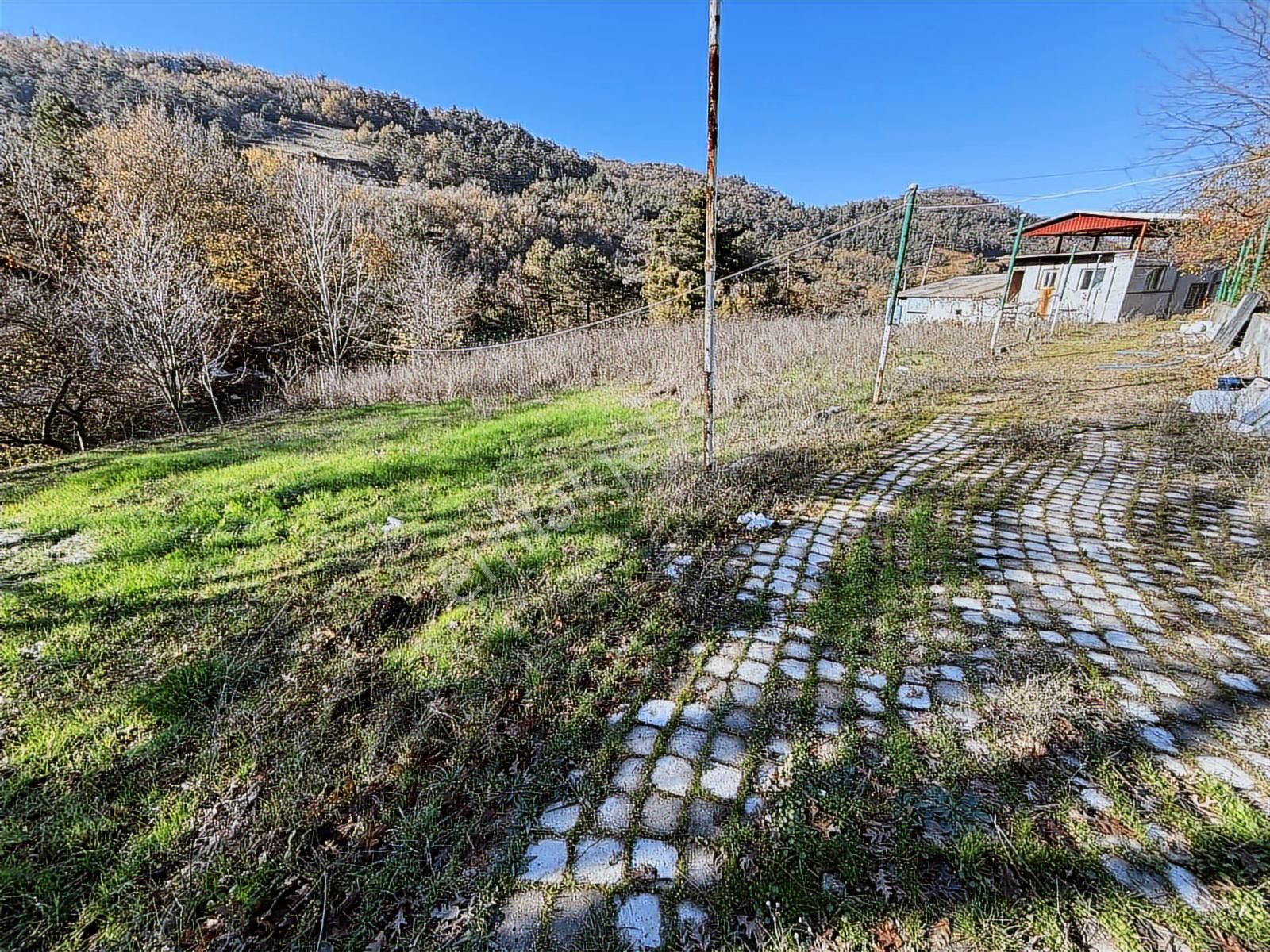 Dağyenice'de 3300 M2 Asfalt Cephe Satılık Arsa Ve Bina - Görsel 16