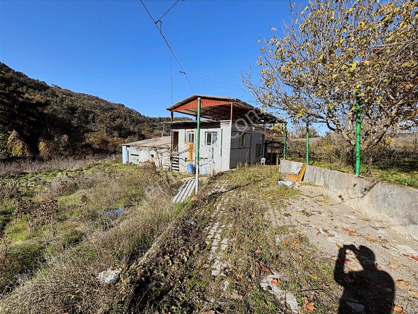 Dağyenice'de 3300 M2 Asfalt Cephe Satılık Arsa Ve Bina