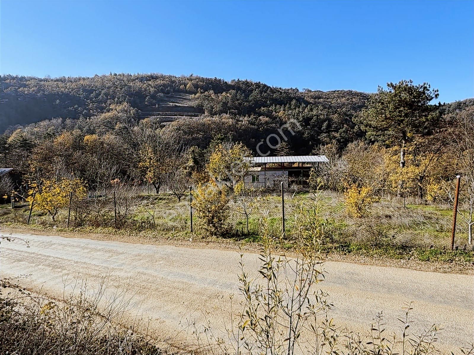 Dağyenice'de 3300 M2 Asfalt Cephe Satılık Arsa Ve Bina - Görsel 8