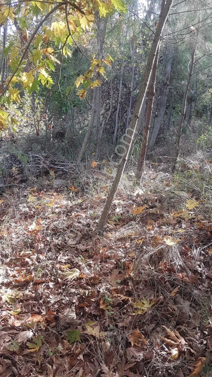 Seydikemer Ceylan'da Satılık 283 M2 Arsa - Görsel 9