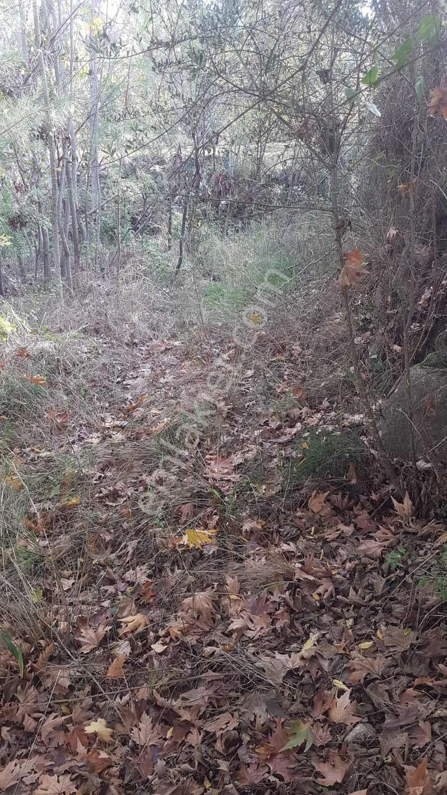 Seydikemer Ceylan'da Satılık 283 M2 Arsa - Görsel 2