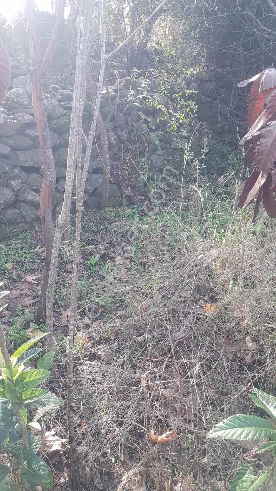 Seydikemer Ceylan'da Satılık 283 M2 Arsa - Görsel 10