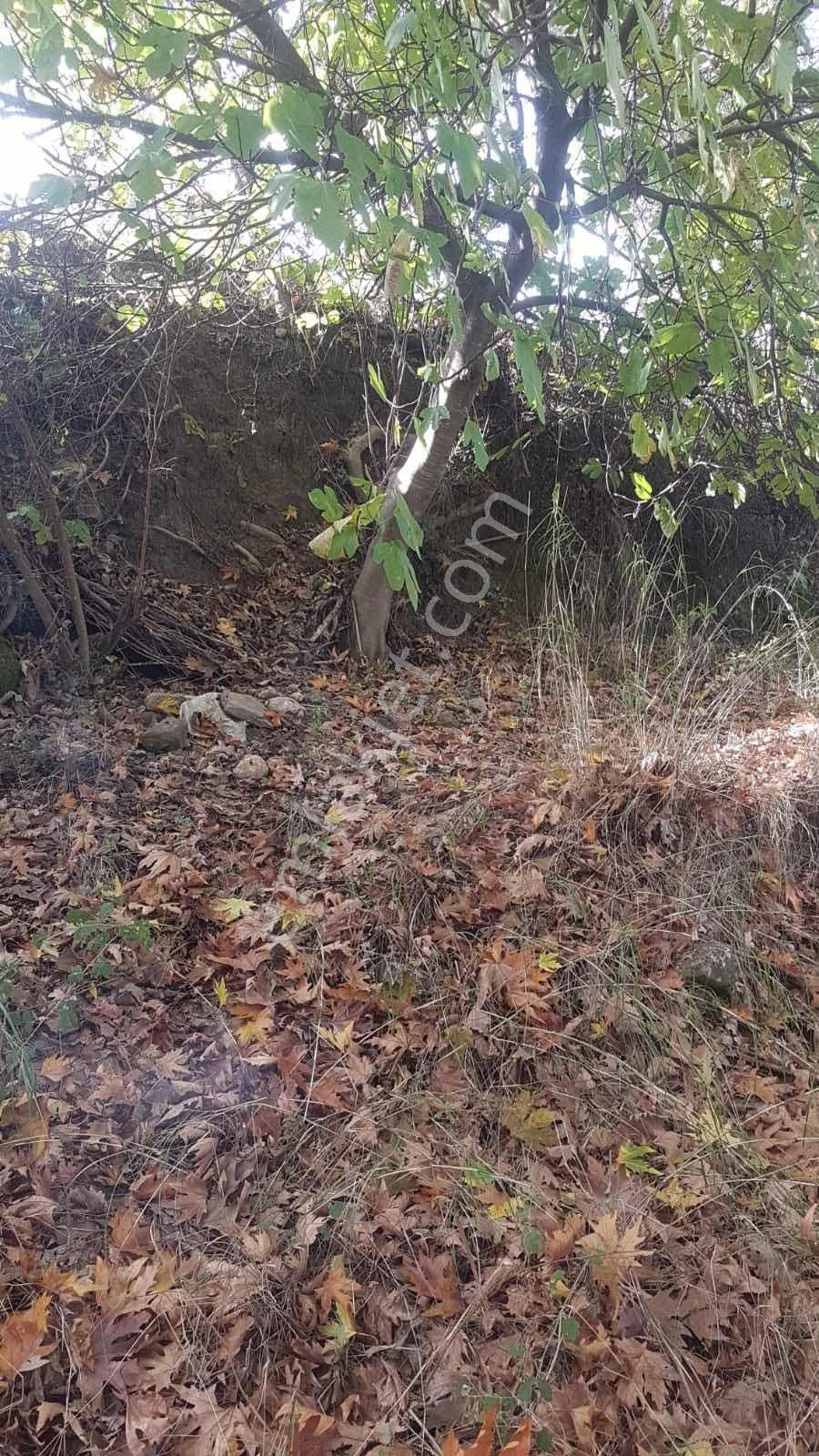 Seydikemer Ceylan'da Satılık 283 M2 Arsa - Görsel 11