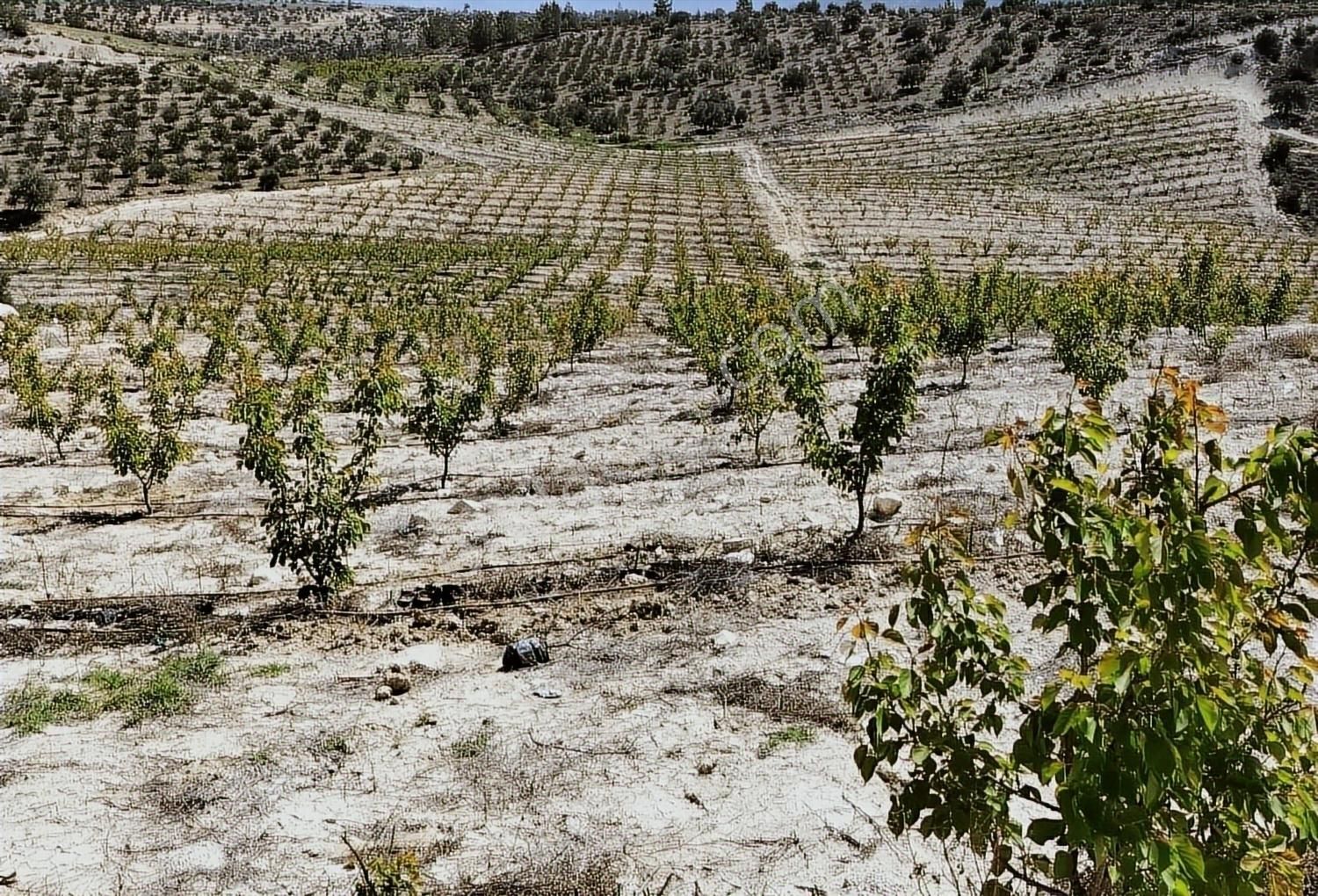 New Form'dan Mut Haydarköy Mahallesi'nde 35779 M2 Satılık Bahçe - Görsel 5