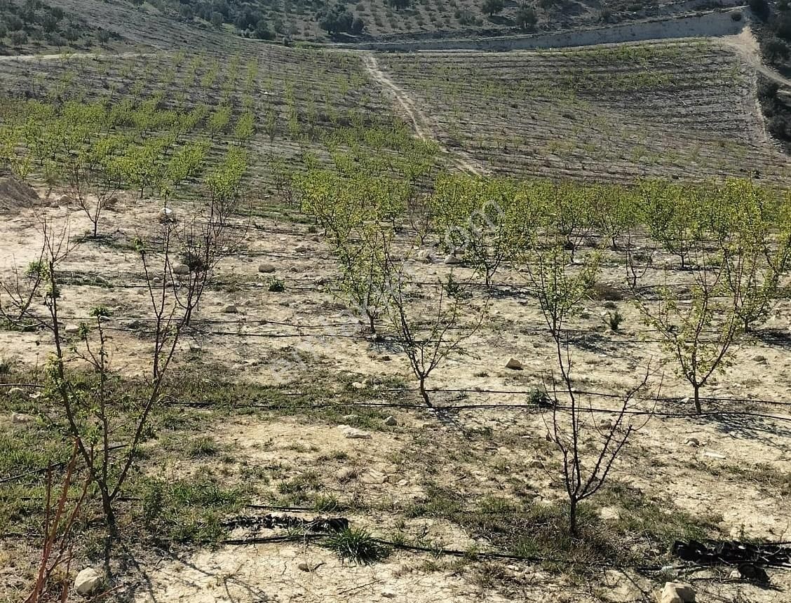 New Form'dan Mut Haydarköy Mahallesi'nde 35779 M2 Satılık Bahçe - Görsel 10