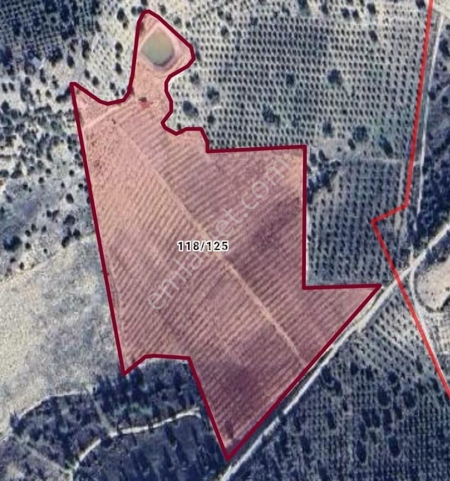 New Form'dan Mut Haydarköy Mahallesi'nde 35779 M2 Satılık Bahçe - Görsel 11