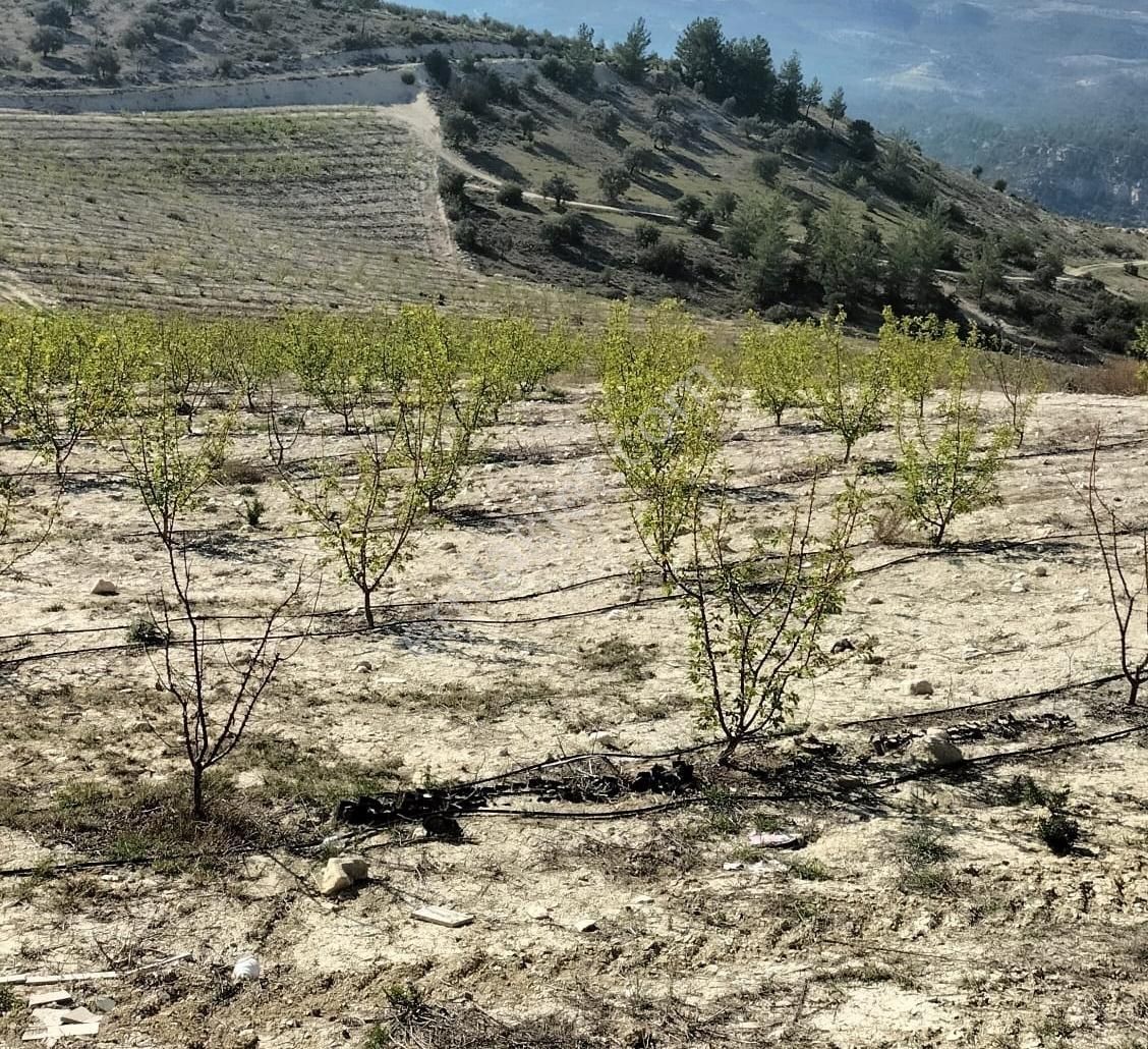 New Form'dan Mut Haydarköy Mahallesi'nde 35779 M2 Satılık Bahçe - Görsel 4