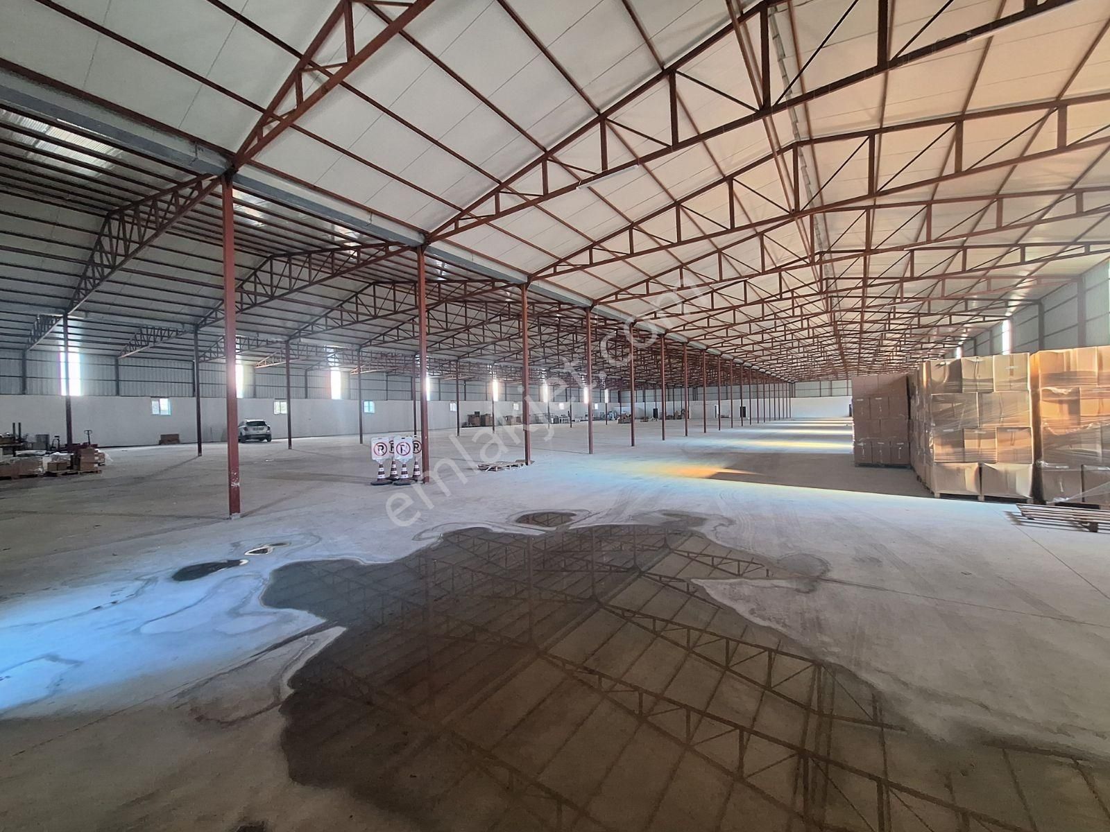 Yenigöl De 4000 M2 Kiralik Depo - Görsel 9