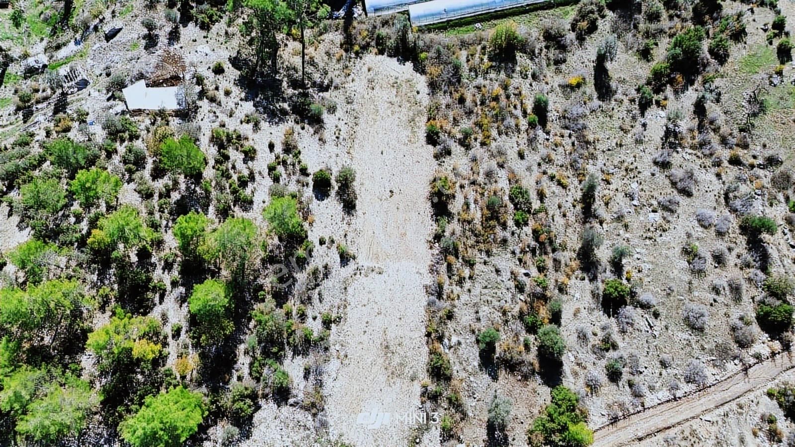 Erdoğan Emlak'tan Yatırımlık Tarım Arazisi Ve Doğal Yaşam Alanı - Görsel 4