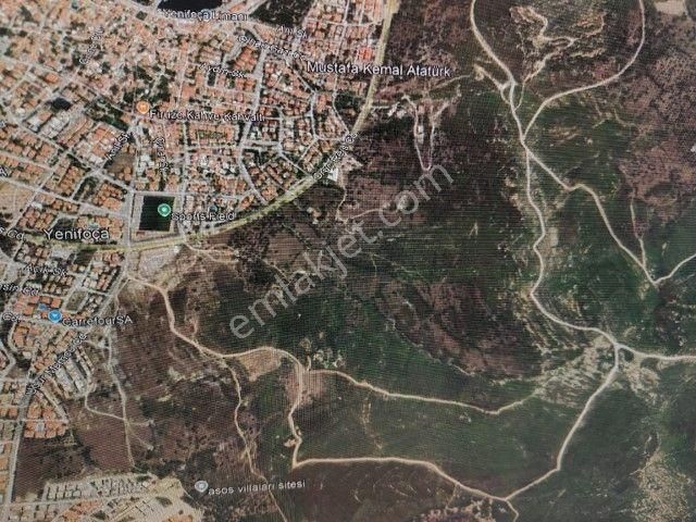 Foçada Şehir Merkezine Yakın 12.930 M2 Satılık Tarla - Görsel 6