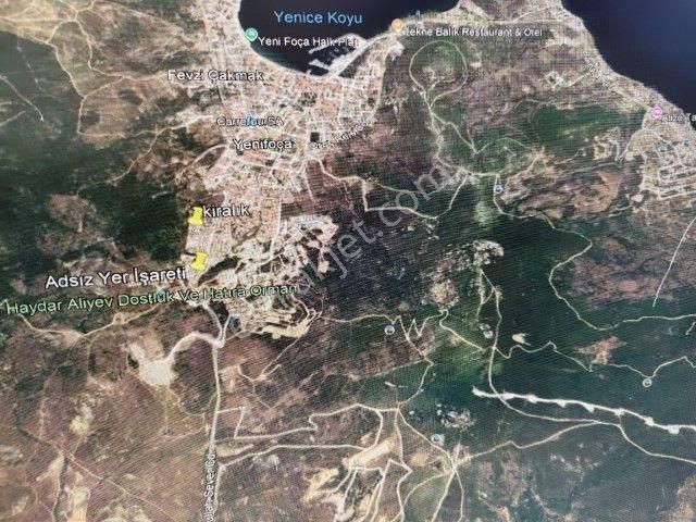 Foçada Şehir Merkezine Yakın 12.930 M2 Satılık Tarla - Görsel 7