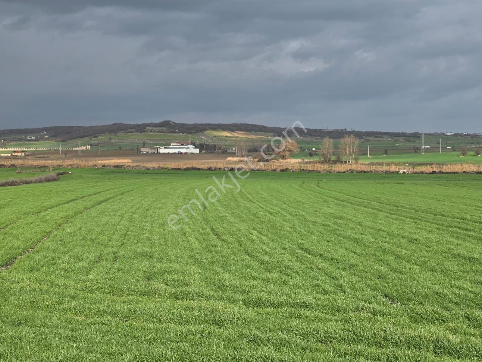 Acil Satılık Toplu Parseller Açıklamayı Okuyunuz - Görsel 10