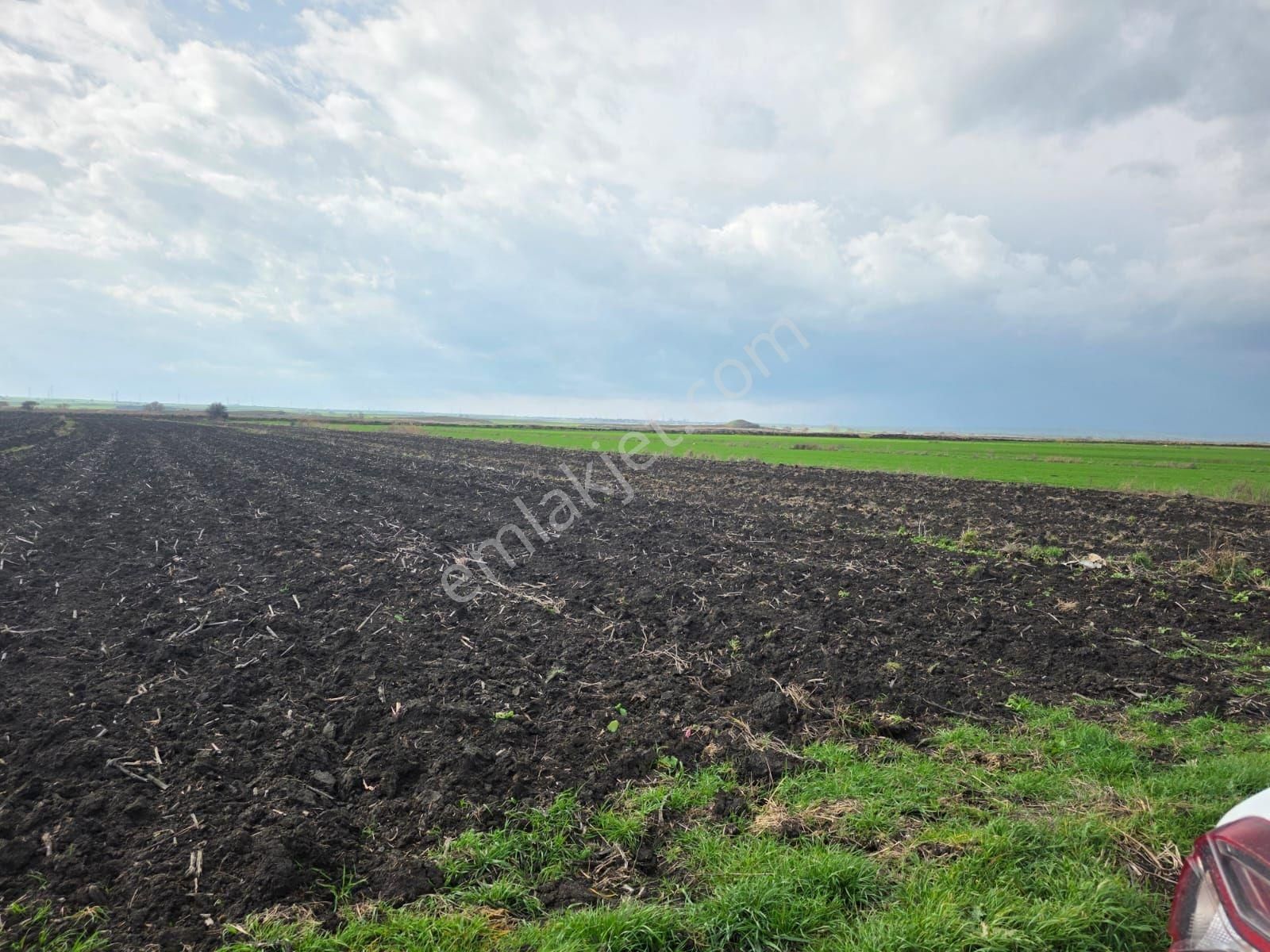 Acil Satılık Toplu Parseller Açıklamayı Okuyunuz - Görsel 5