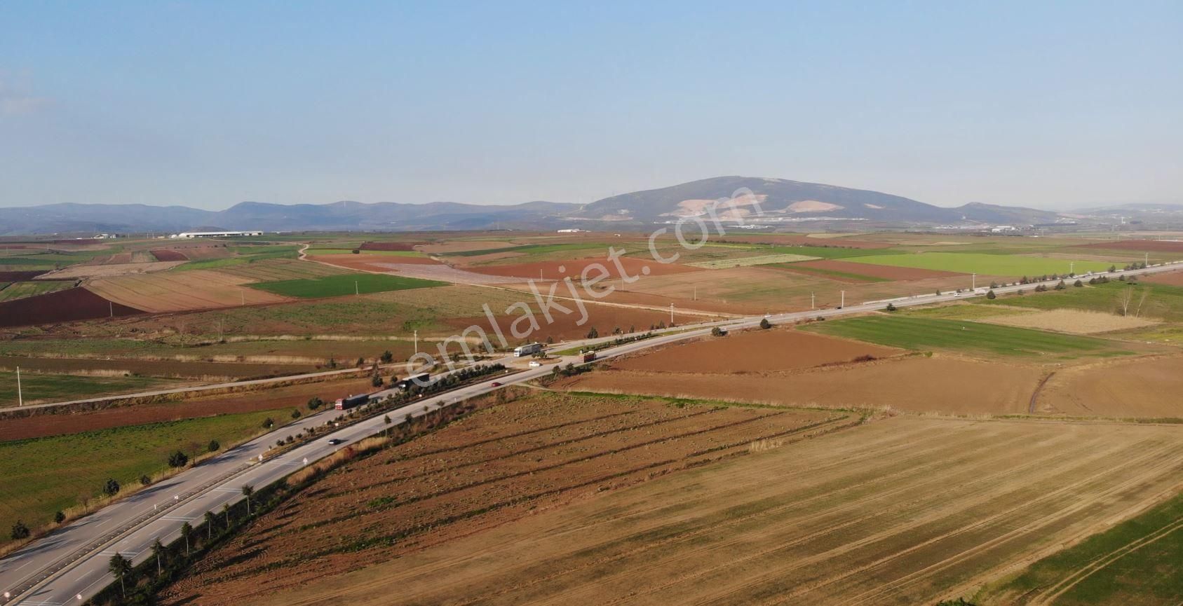 Karacabey Fevzipaşa 'da 6755 M2 Satılık Arazi - Görsel 4