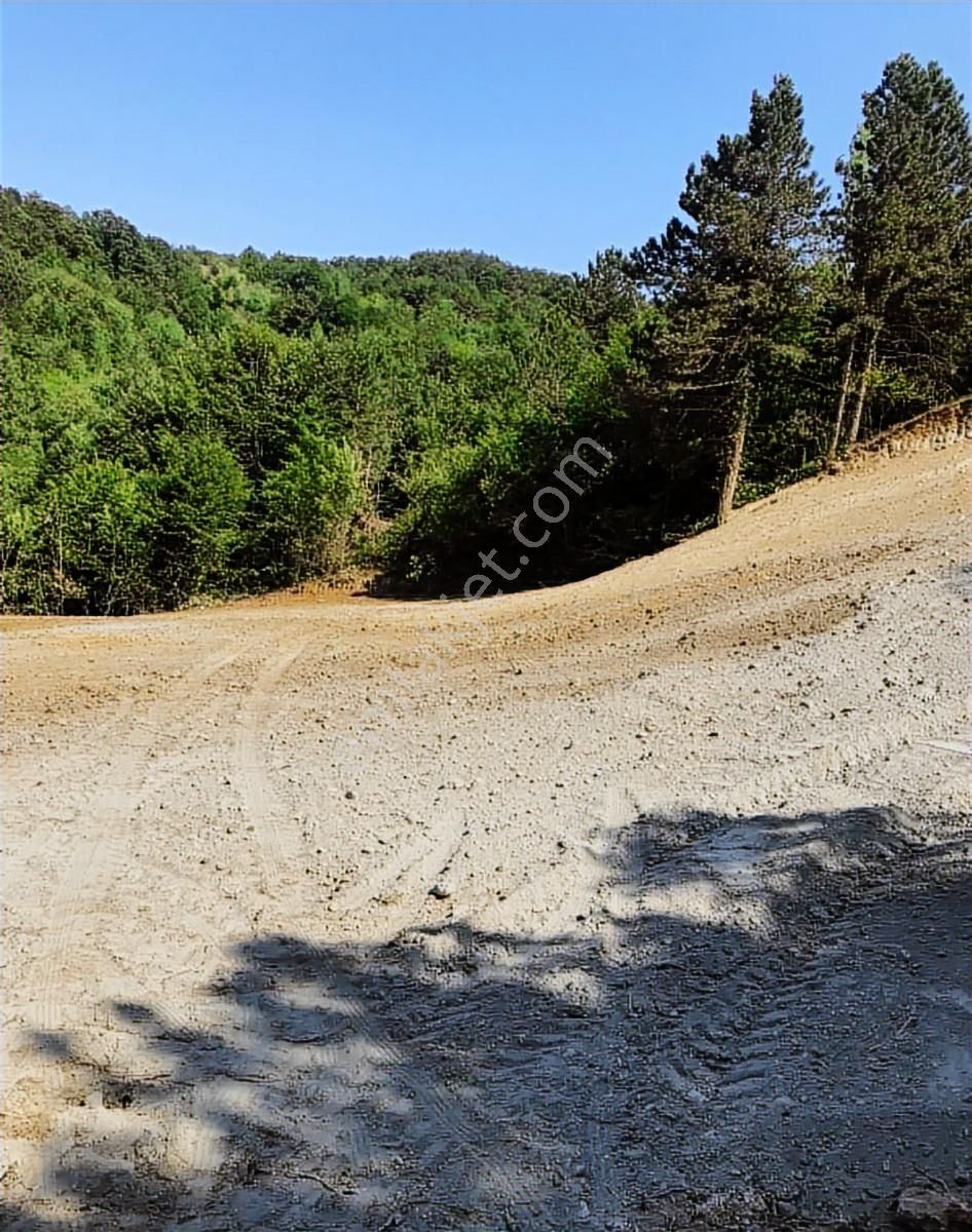 Kestel Orhaniye'de Merkeze Yakın Mesafede Satılık Tarla... - Görsel 3