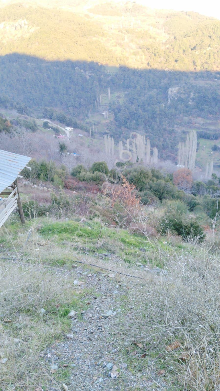 Era'dan Satılık Tarla Kestanelık Yuka - Görsel 4