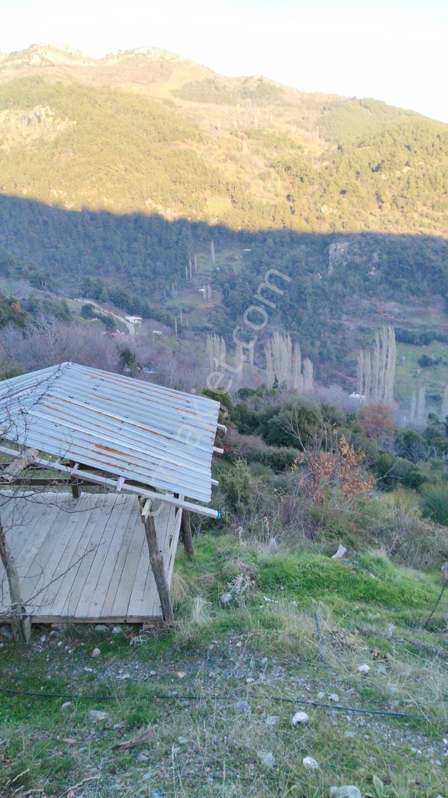 Era'dan Satılık Tarla Kestanelık Yuka - Görsel 8