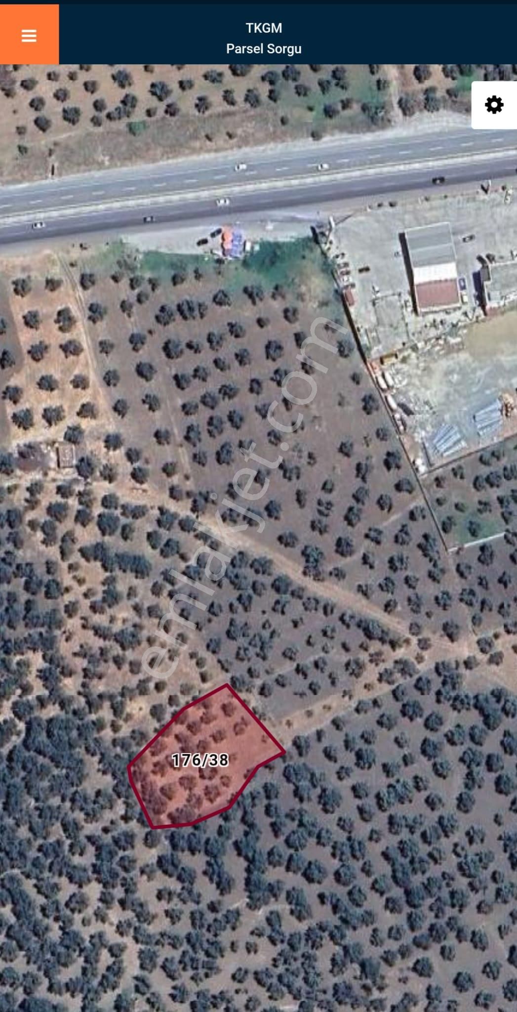 Golden Globy, Havran Mescit Mahallesinde Satılık 1.844 M2 Zeytinlik - Görsel 3