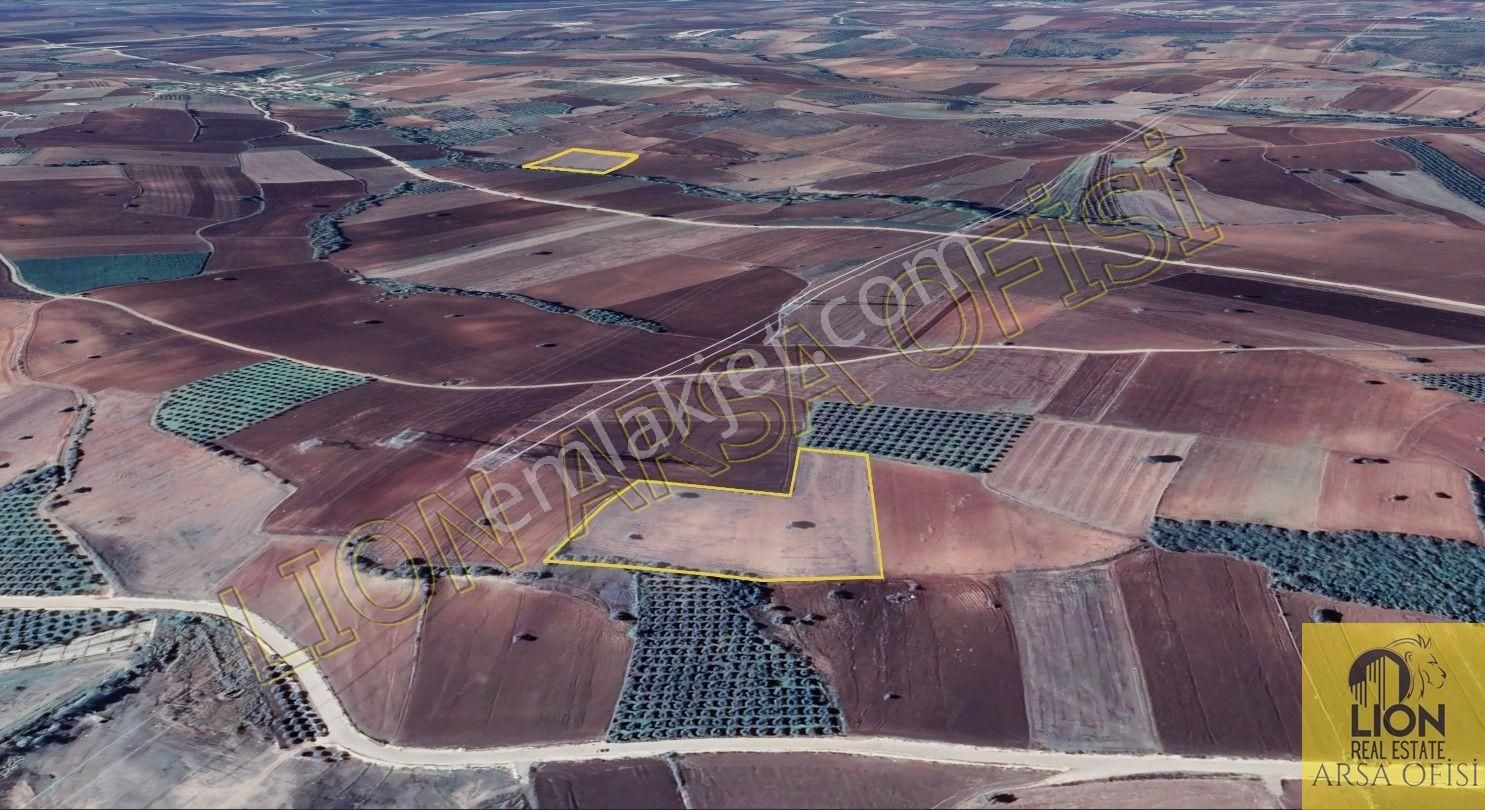 Lıon Emlak'tan Doğla'da Elektrik,su Ve Yol Sorunu Olmayan Satılık 12.500m² Tarla - Görsel 4