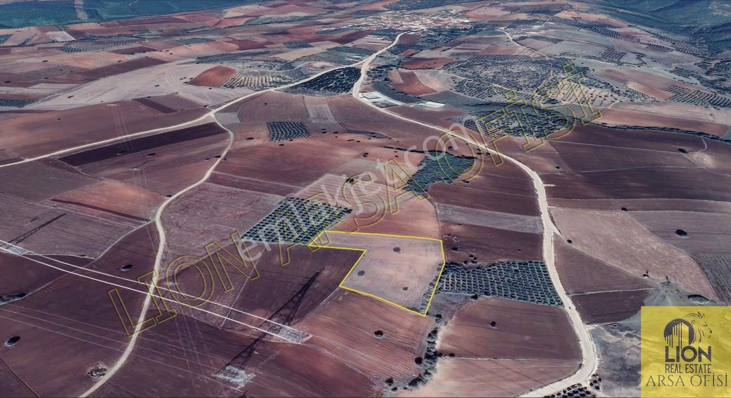 Lıon Emlak'tan Doğla'da Elektrik,su Ve Yol Sorunu Olmayan Satılık 12.500m² Tarla - Görsel 7