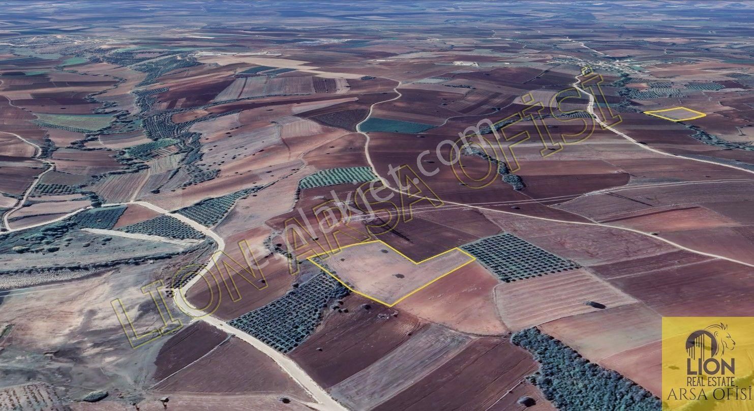 Lıon Emlak'tan Doğla'da Elektrik,su Ve Yol Sorunu Olmayan Satılık 12.500m² Tarla - Görsel 3