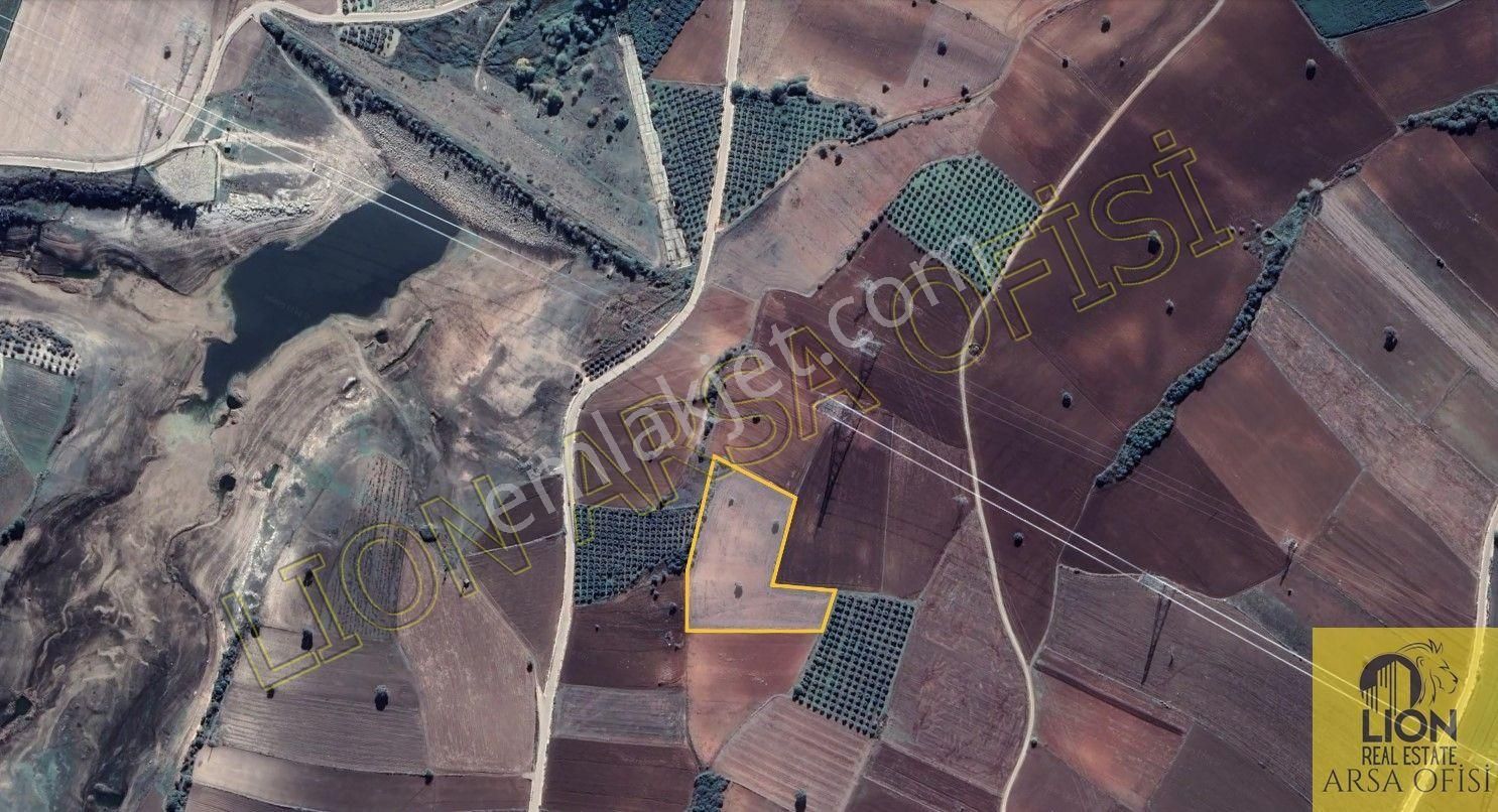 Lıon Emlak'tan Doğla'da Elektrik,su Ve Yol Sorunu Olmayan Satılık 12.500m² Tarla - Görsel 13