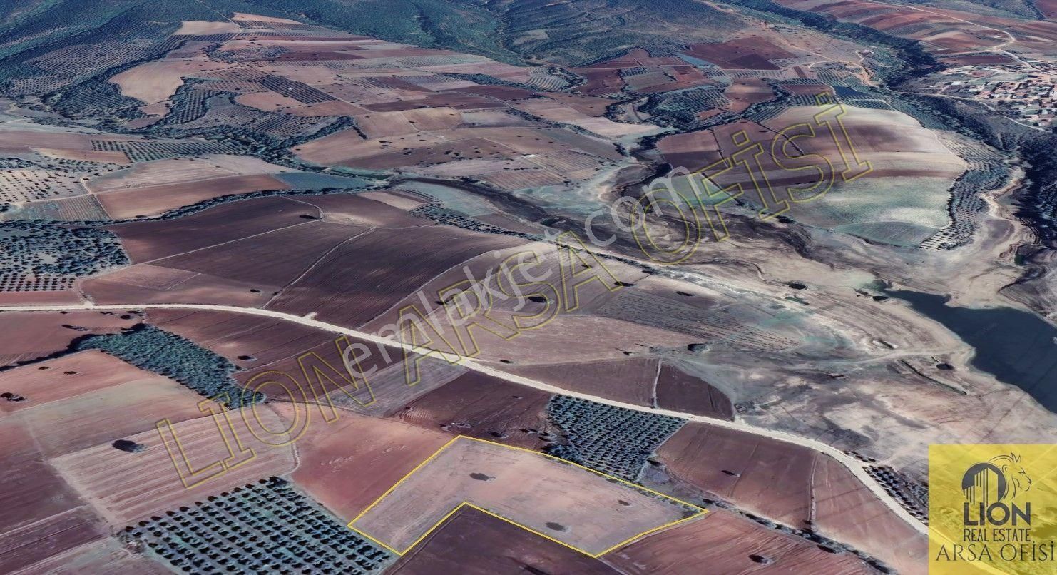 Lıon Emlak'tan Doğla'da Elektrik,su Ve Yol Sorunu Olmayan Satılık 12.500m² Tarla - Görsel 9