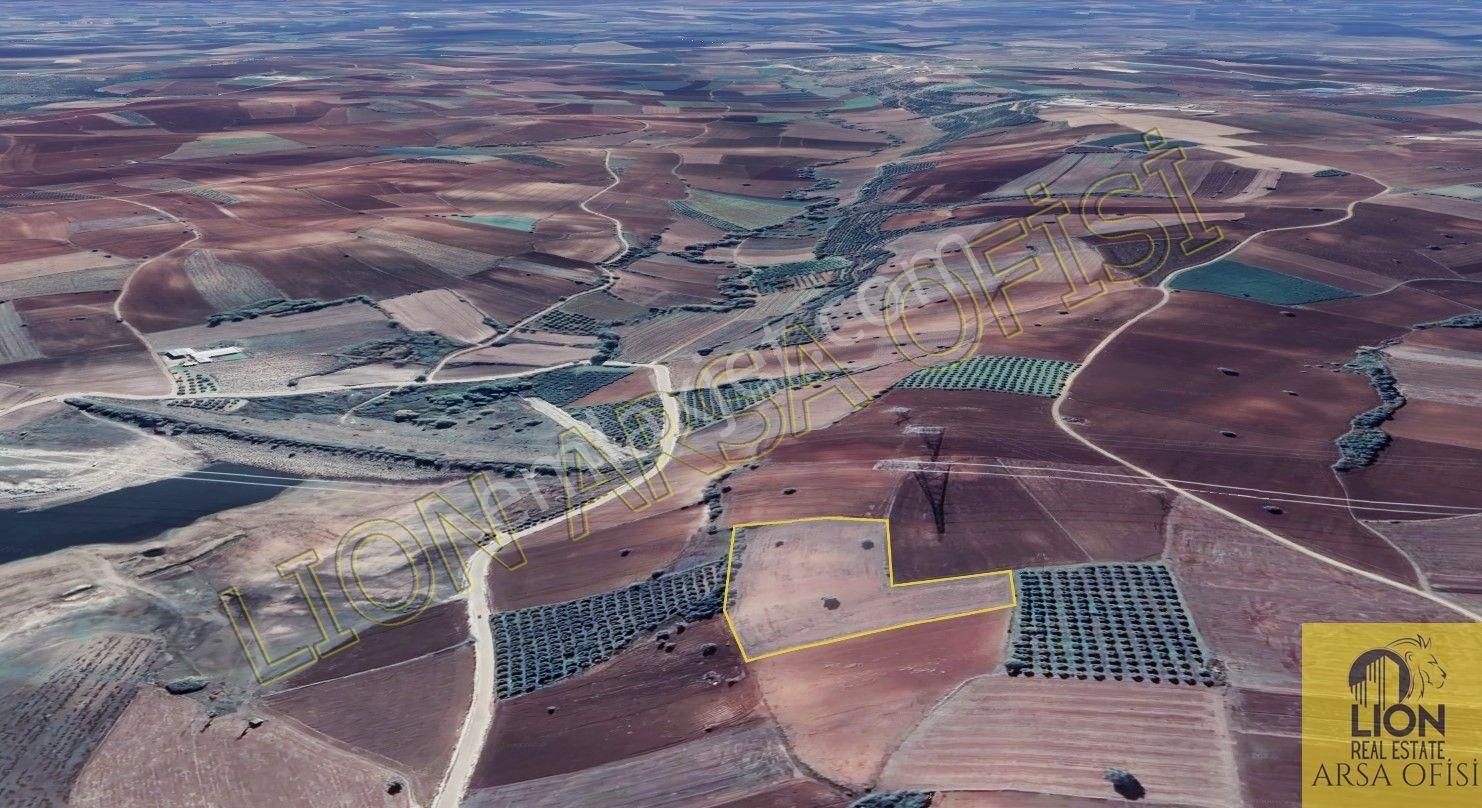 Lıon Emlak'tan Doğla'da Elektrik,su Ve Yol Sorunu Olmayan Satılık 12.500m² Tarla - Görsel 2