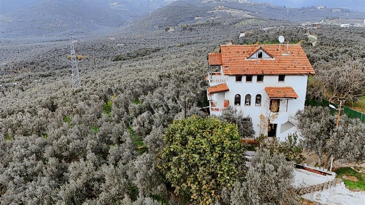 Doğa İle İç İçe Gemlik Cihatlıda 1500 M² Arsa İçerisinde Villa - Görsel 11