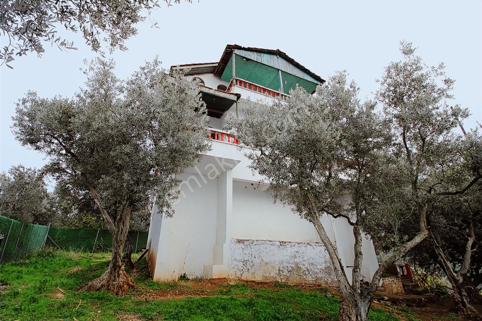 Doğa İle İç İçe Gemlik Cihatlıda 1500 M² Arsa İçerisinde Villa - Görsel 8