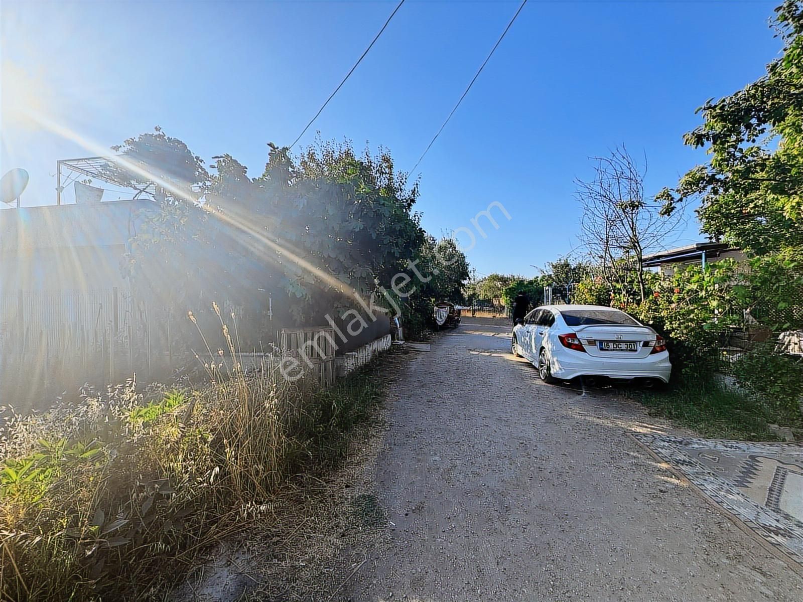Realty Nexus'dan Kuzsaz'da Hobi Bahçesi - Görsel 2