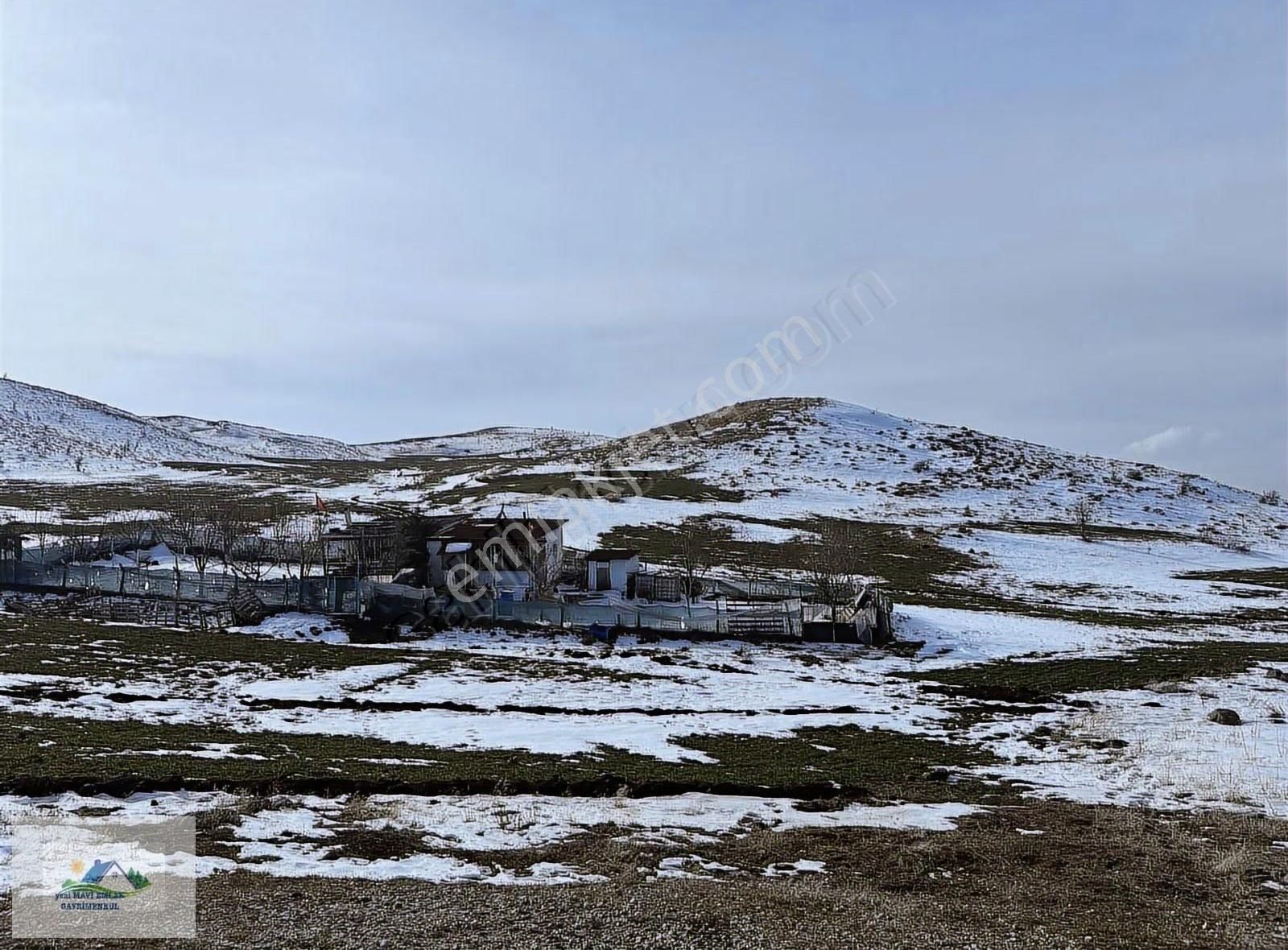 Bayındır Kilimci Mevki 250 M2 Hisse Hem Yatırım Hem Hobi Bahçesi - Görsel 4