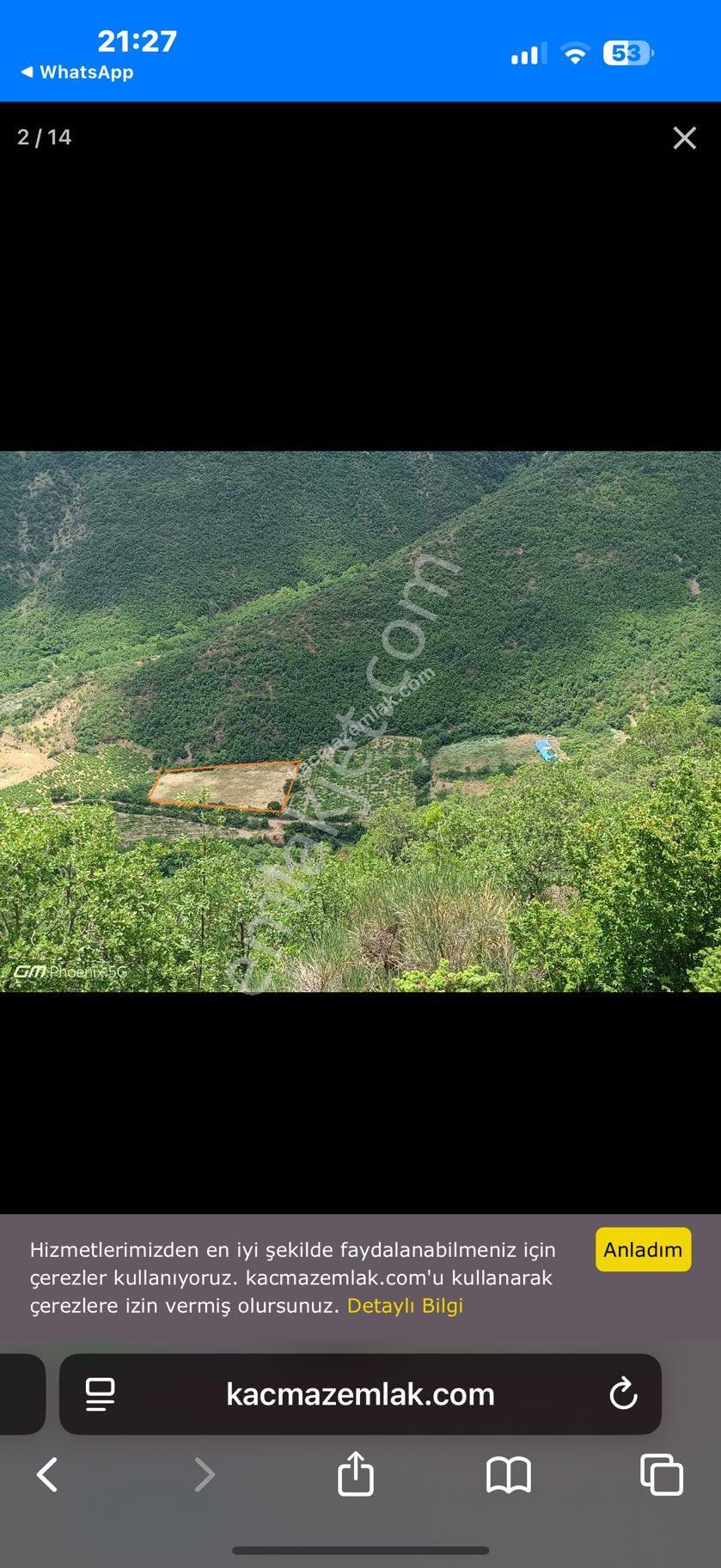 Tekirdağ Şarköy Gaziköy Tarla - Görsel 10