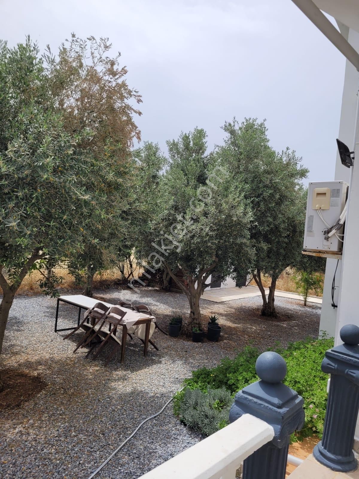 Didim / Yeşiltepede 700 M2 Arsa İçinde Full Eşyalı Satılık Fırsat Villa - Görsel 12