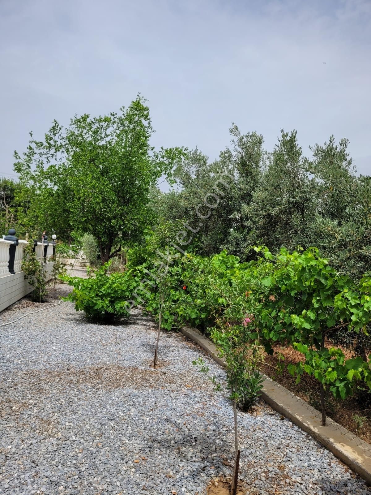 Didim / Yeşiltepede 700 M2 Arsa İçinde Full Eşyalı Satılık Fırsat Villa - Görsel 9