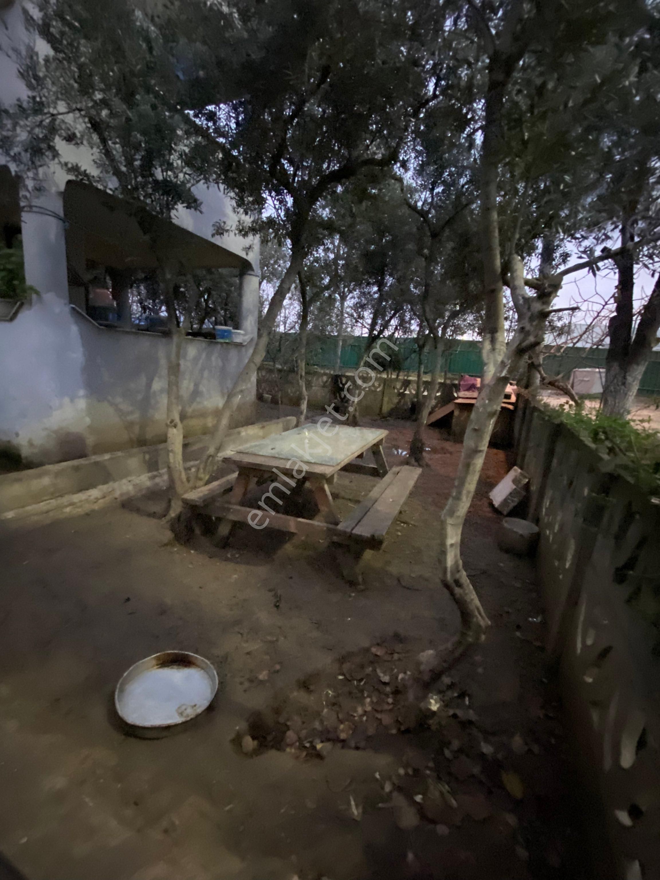 Saim Gencaydan Gemlik Gemsaz Mevkii Satılık 2 Katlı Bahçeli Müstakil Villa - Görsel 28