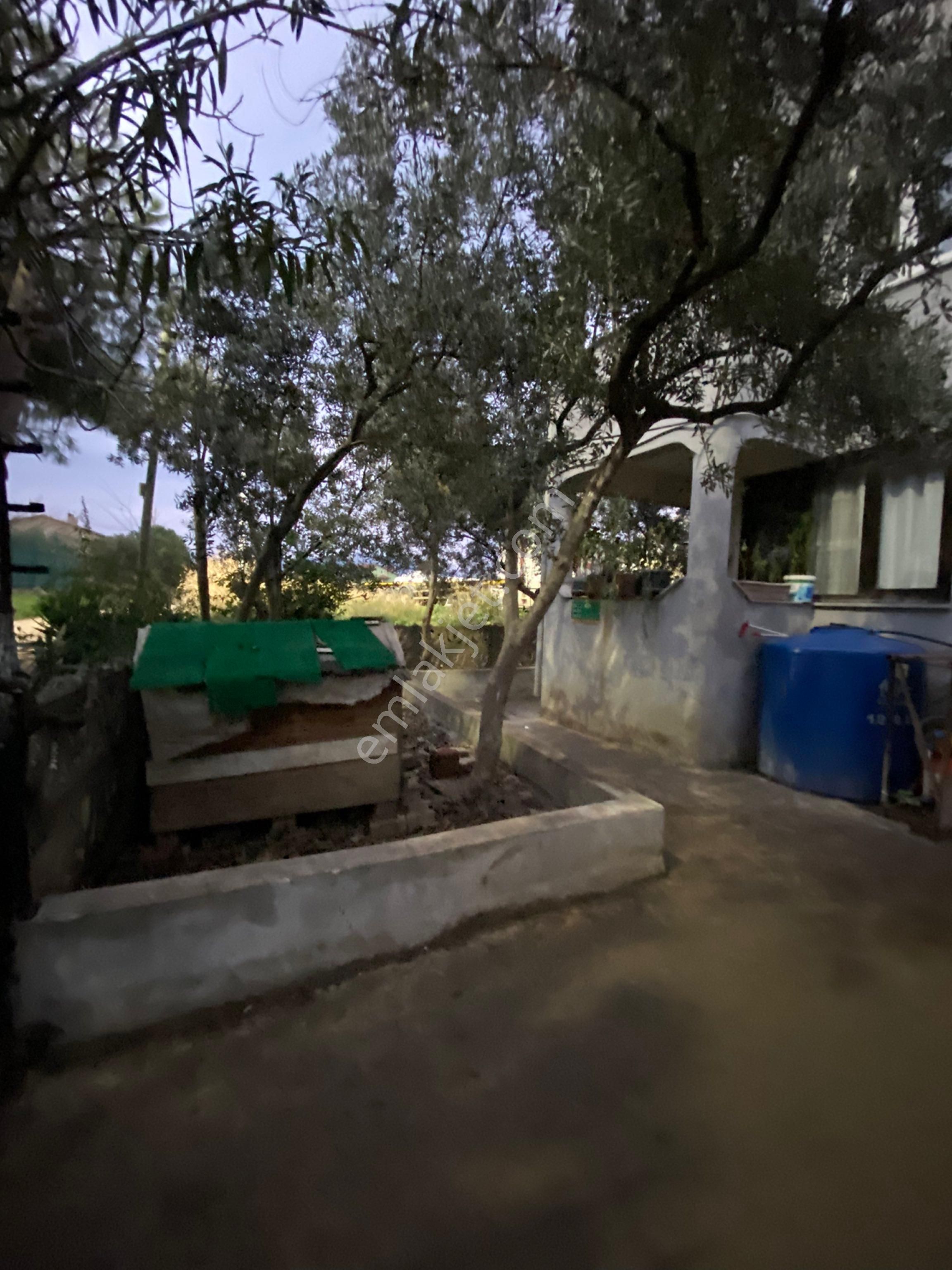 Saim Gencaydan Gemlik Gemsaz Mevkii Satılık 2 Katlı Bahçeli Müstakil Villa - Görsel 29