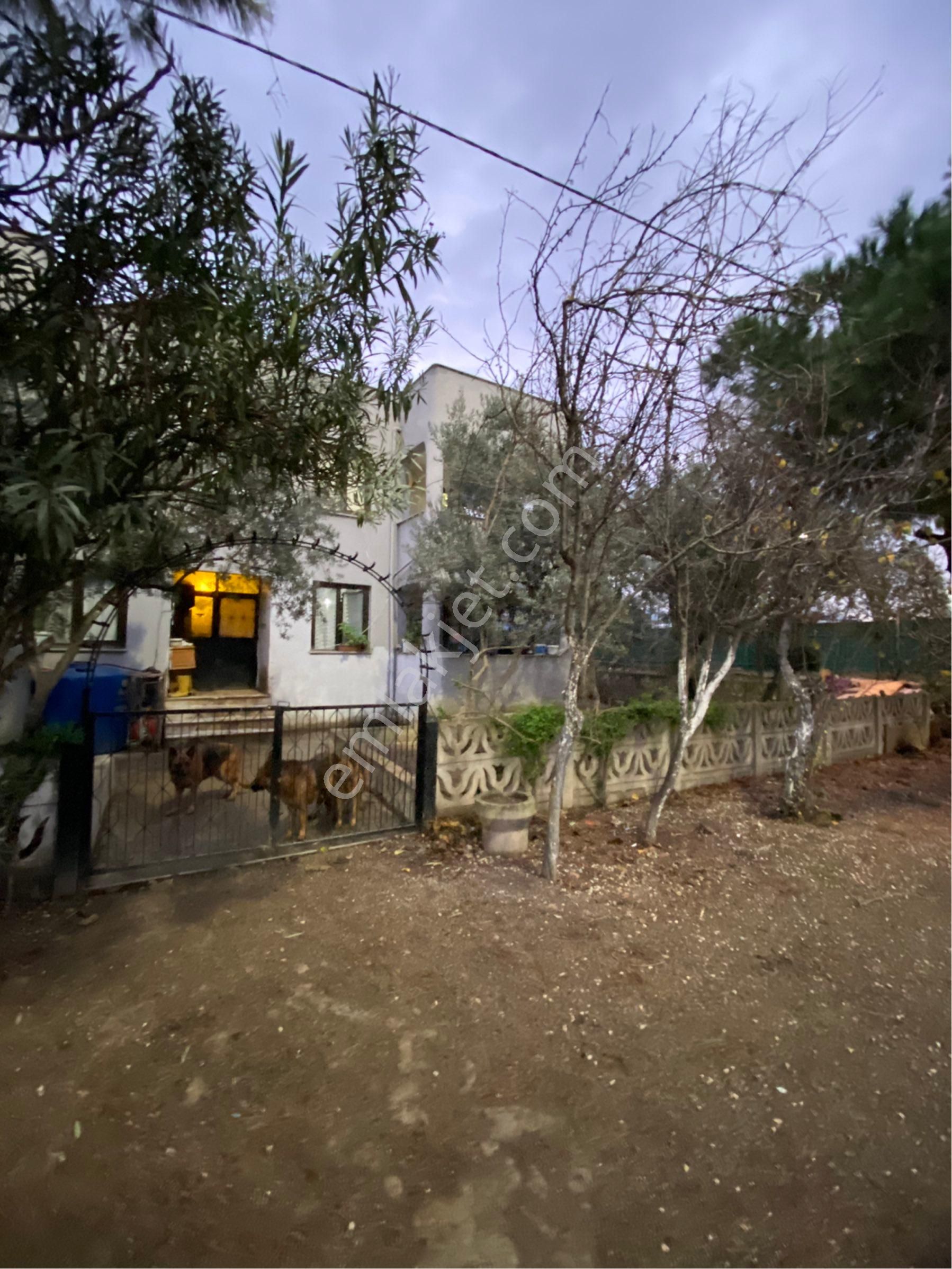 Saim Gencaydan Gemlik Gemsaz Mevkii Satılık 2 Katlı Bahçeli Müstakil Villa - Görsel 30