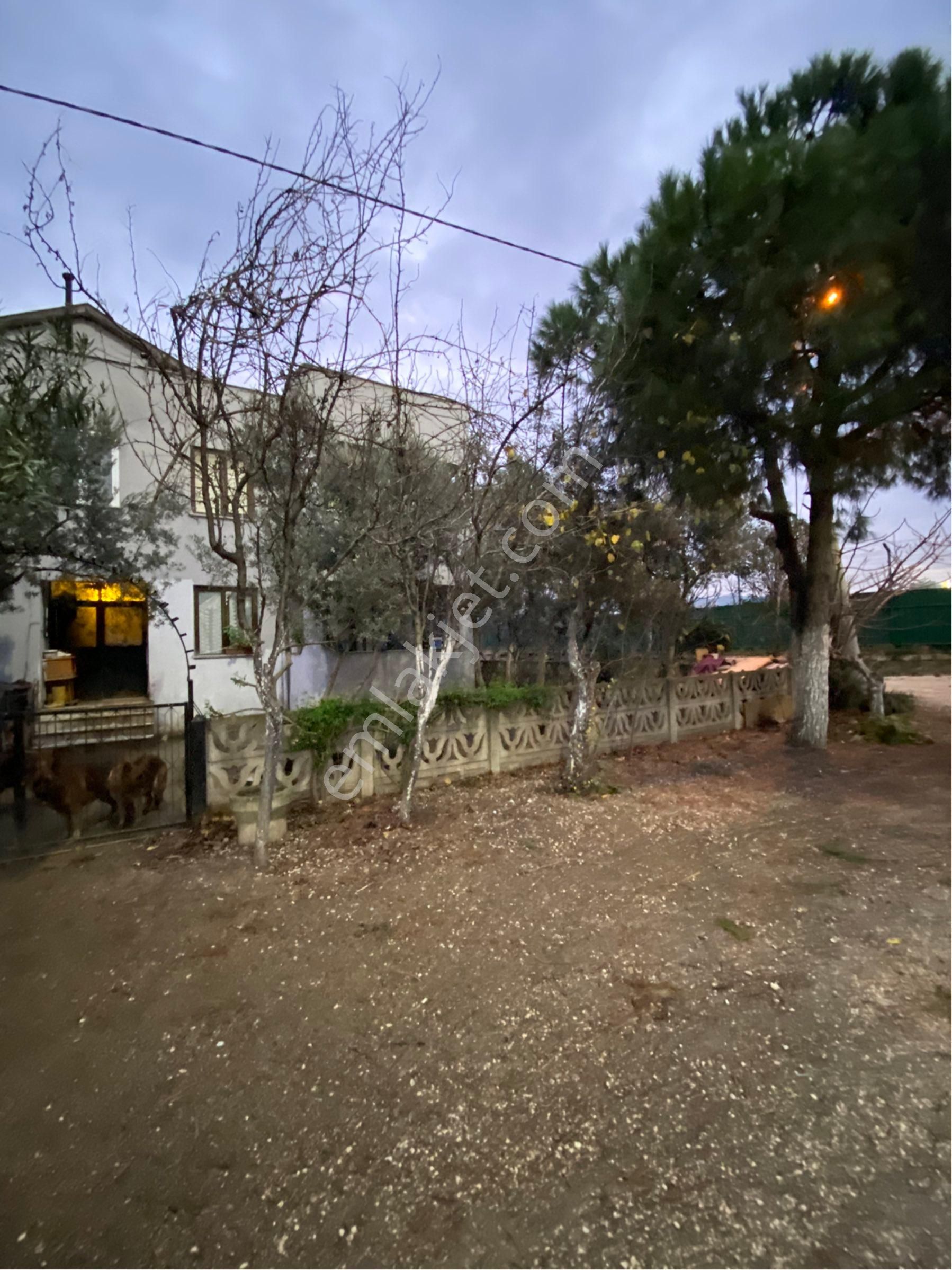 Saim Gencaydan Gemlik Gemsaz Mevkii Satılık 2 Katlı Bahçeli Müstakil Villa - Görsel 32
