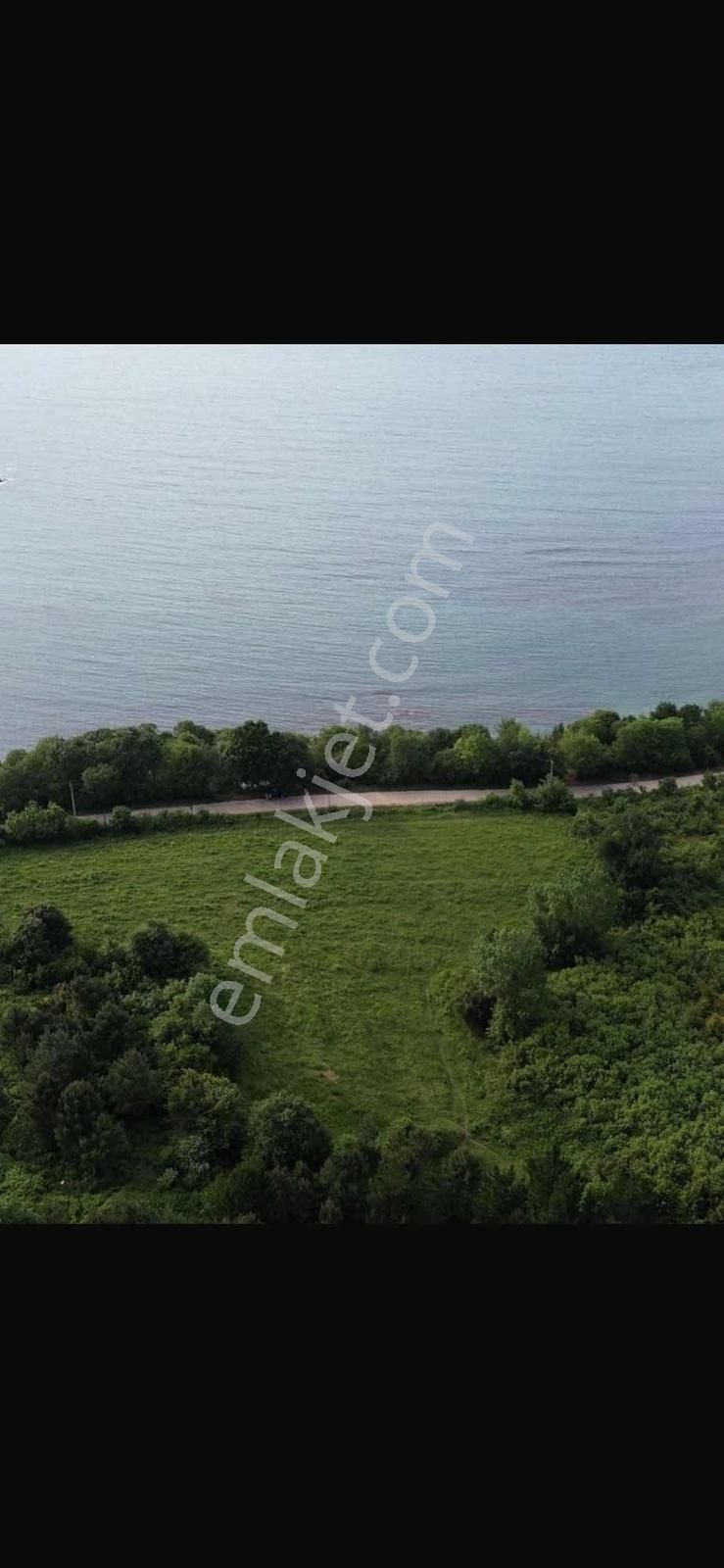 Kandıra Kerpe Satılık Arazi - Görsel 3