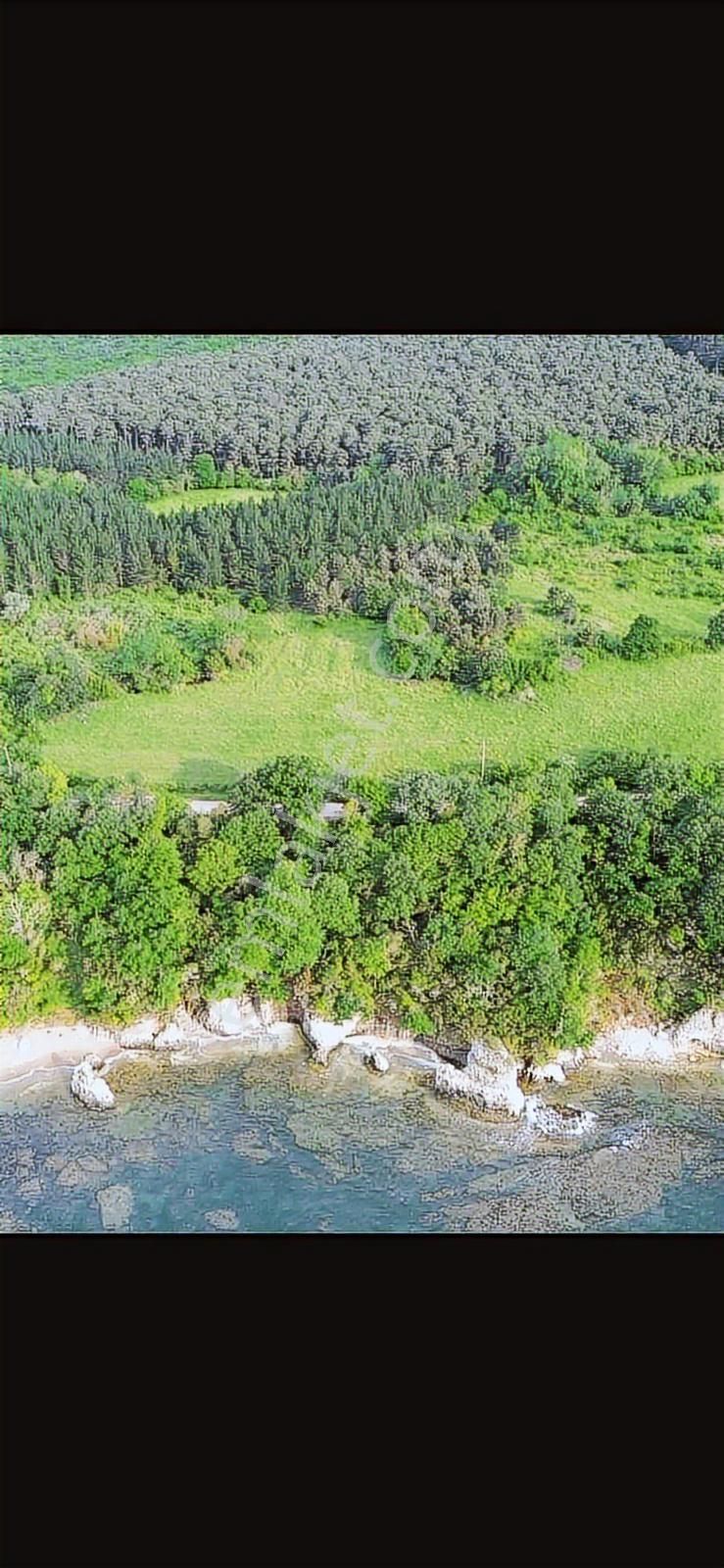 Kandıra Kerpe Satılık Arazi - Görsel 3
