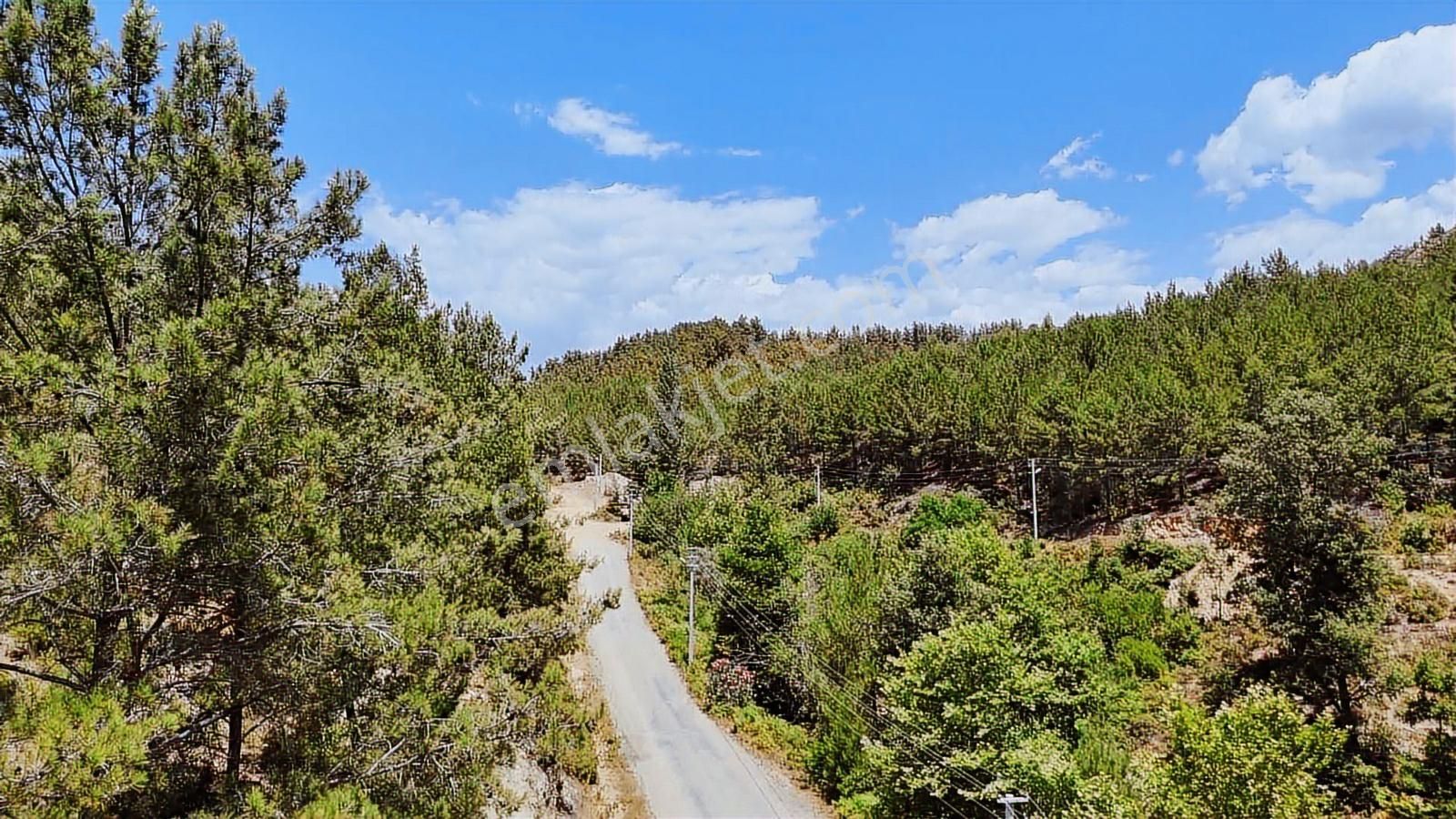 Alanya Kayabaşı Masrafsız Yola Sıfır 457m2 Tarla - Görsel 4