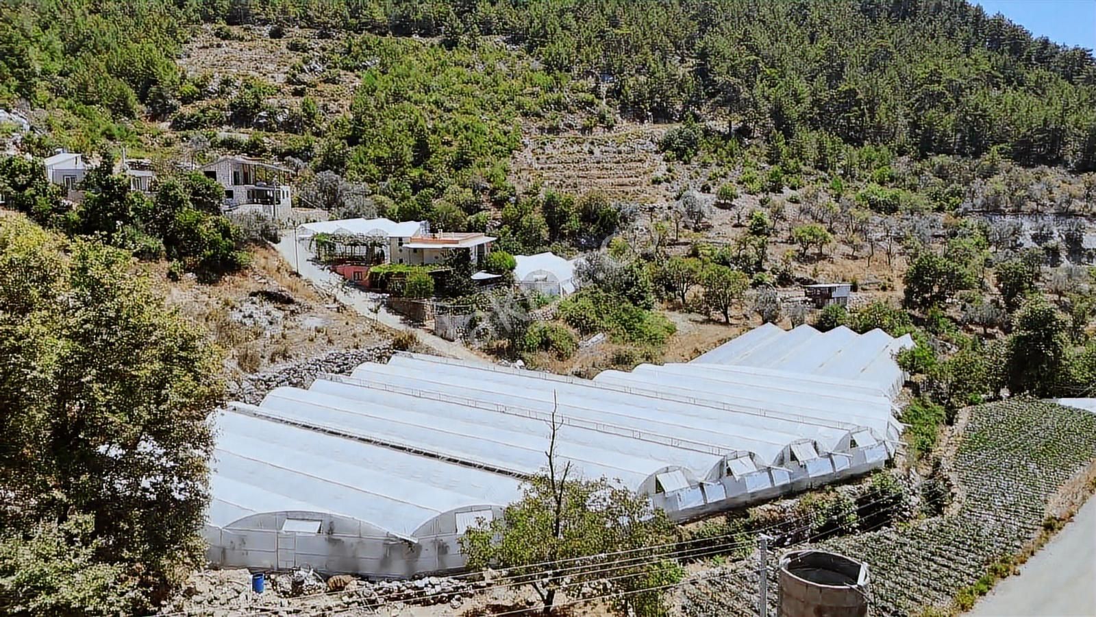 Alanya Kayabaşı Masrafsız Yola Sıfır 457m2 Tarla - Görsel 9