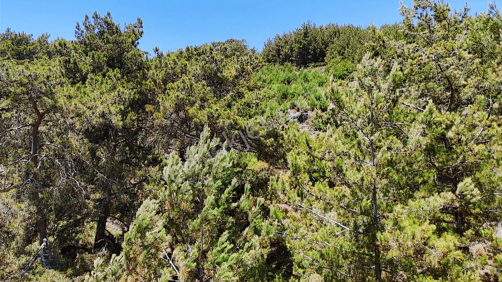 Alanya Kayabaşı Masrafsız Yola Sıfır 457m2 Tarla - Görsel 7