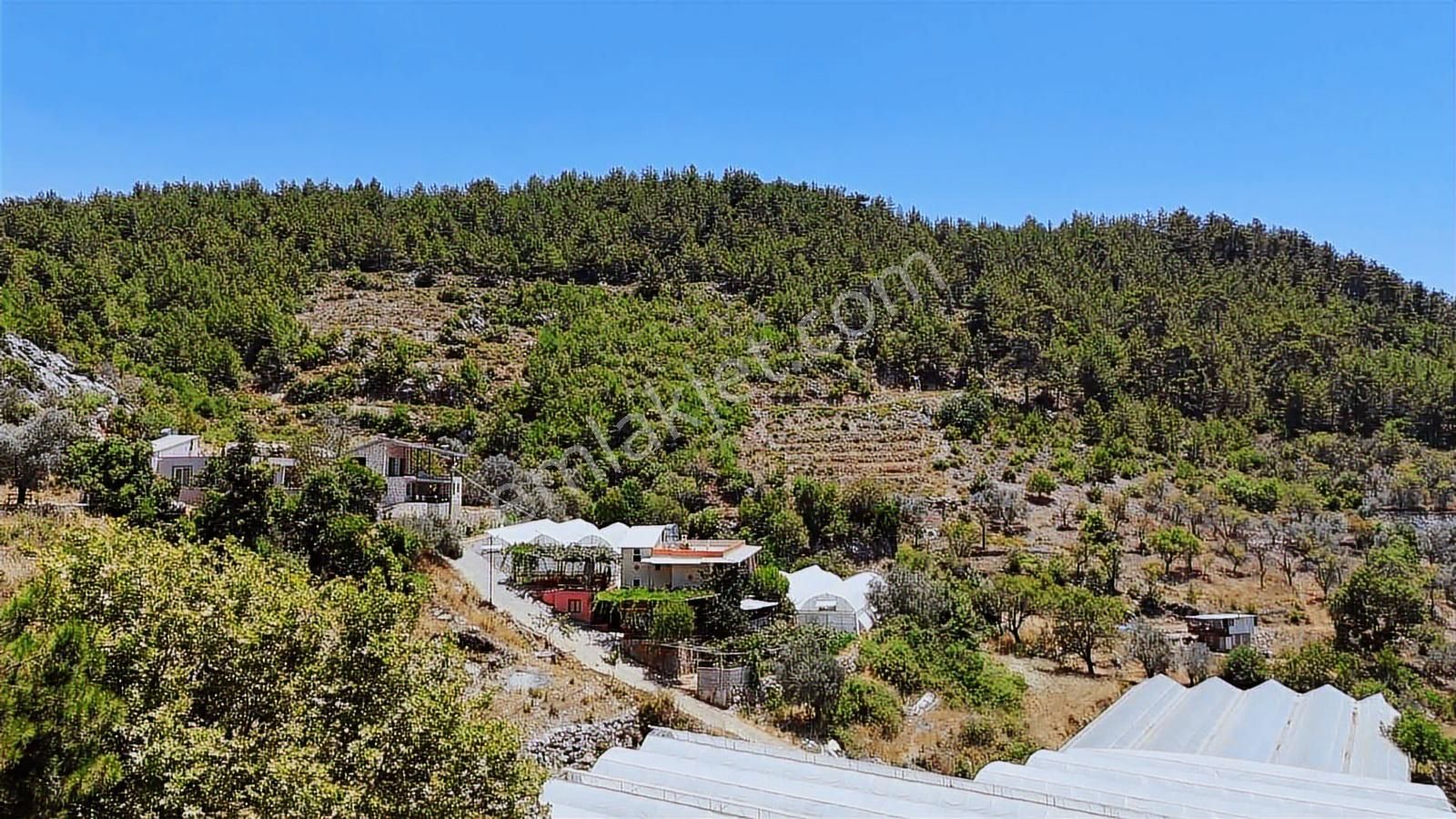 Alanya Kayabaşı Masrafsız Yola Sıfır 457m2 Tarla - Görsel 2