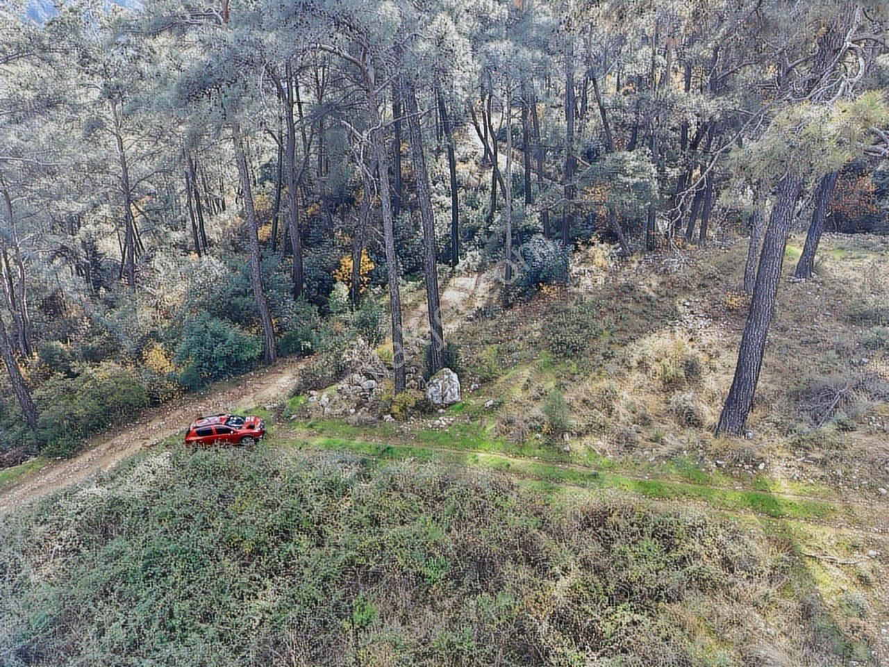 Satılık Tarla Antalya Kemer Ulupınar'da - Görsel 8