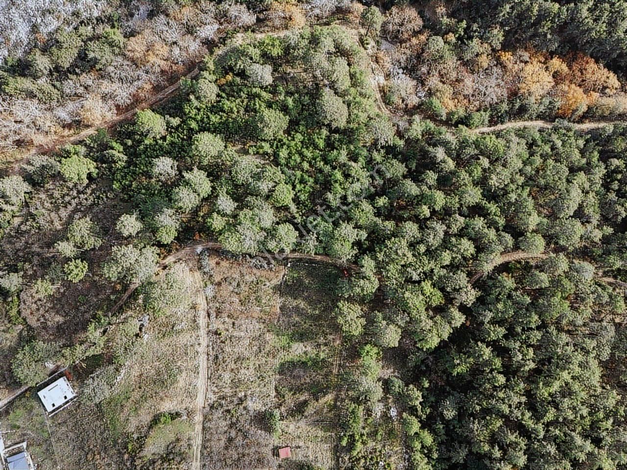 Satılık Tarla Antalya Kemer Ulupınar'da - Görsel 13