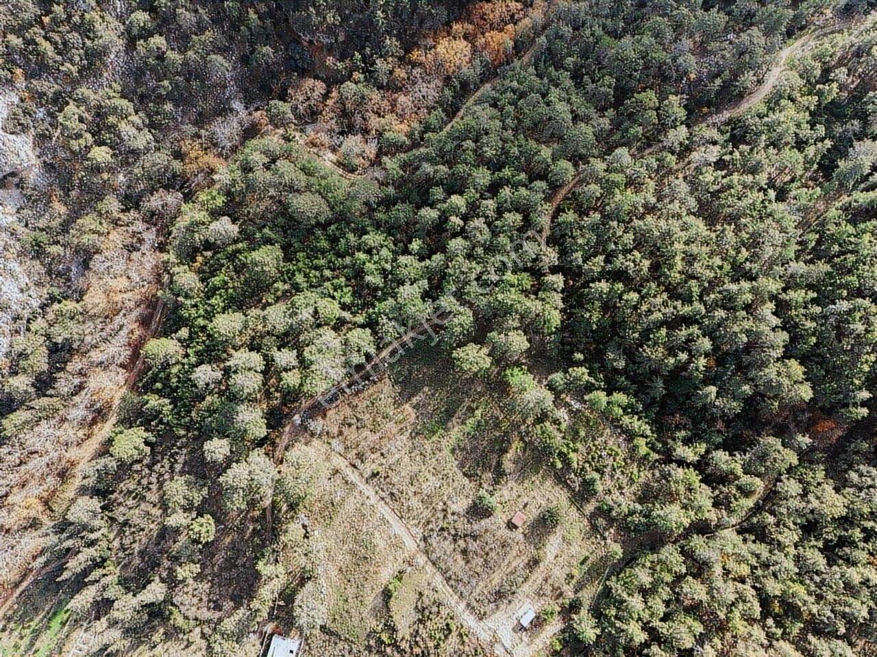 Satılık Tarla Antalya Kemer Ulupınar'da - Görsel 10