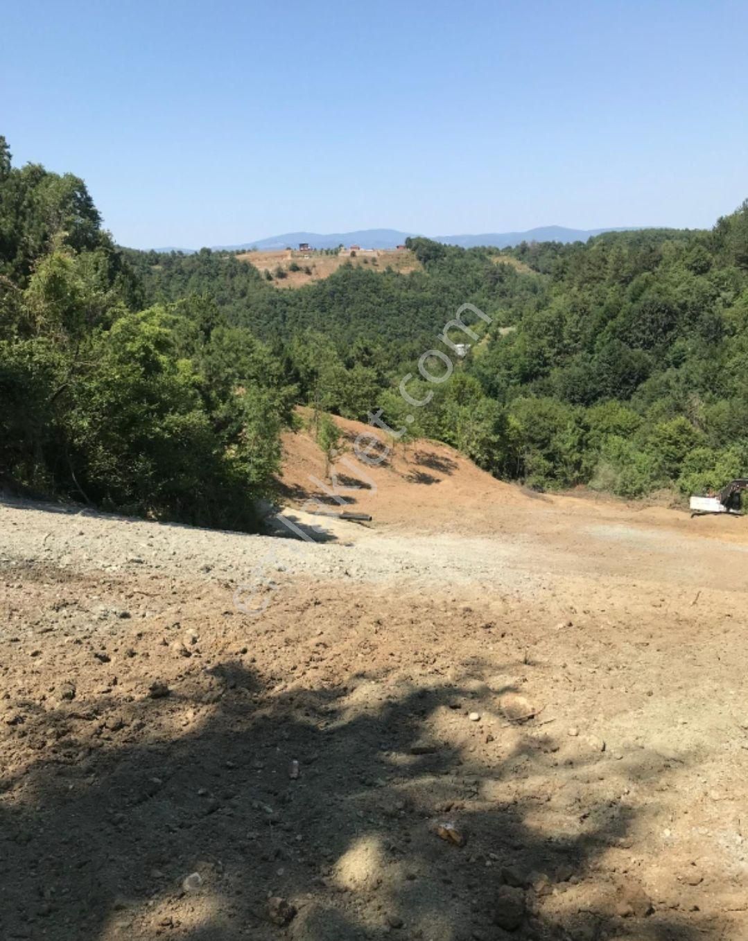 Kestel Orhaniye'de Merkeze 650 Metre Mesafede Satılık Tarla - Görsel 5