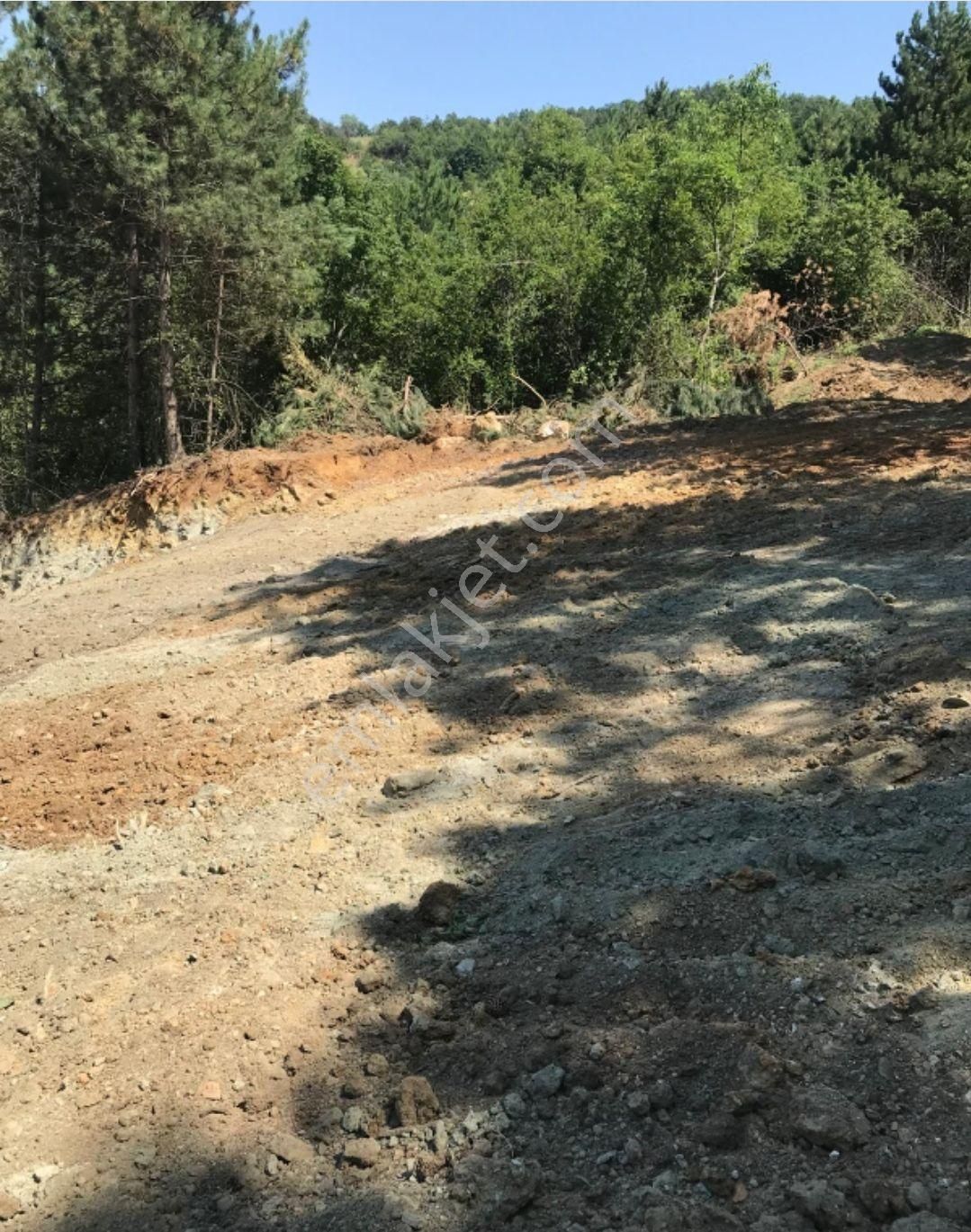 Kestel Orhaniye'de Merkeze 650 Metre Mesafede Satılık Tarla - Görsel 4